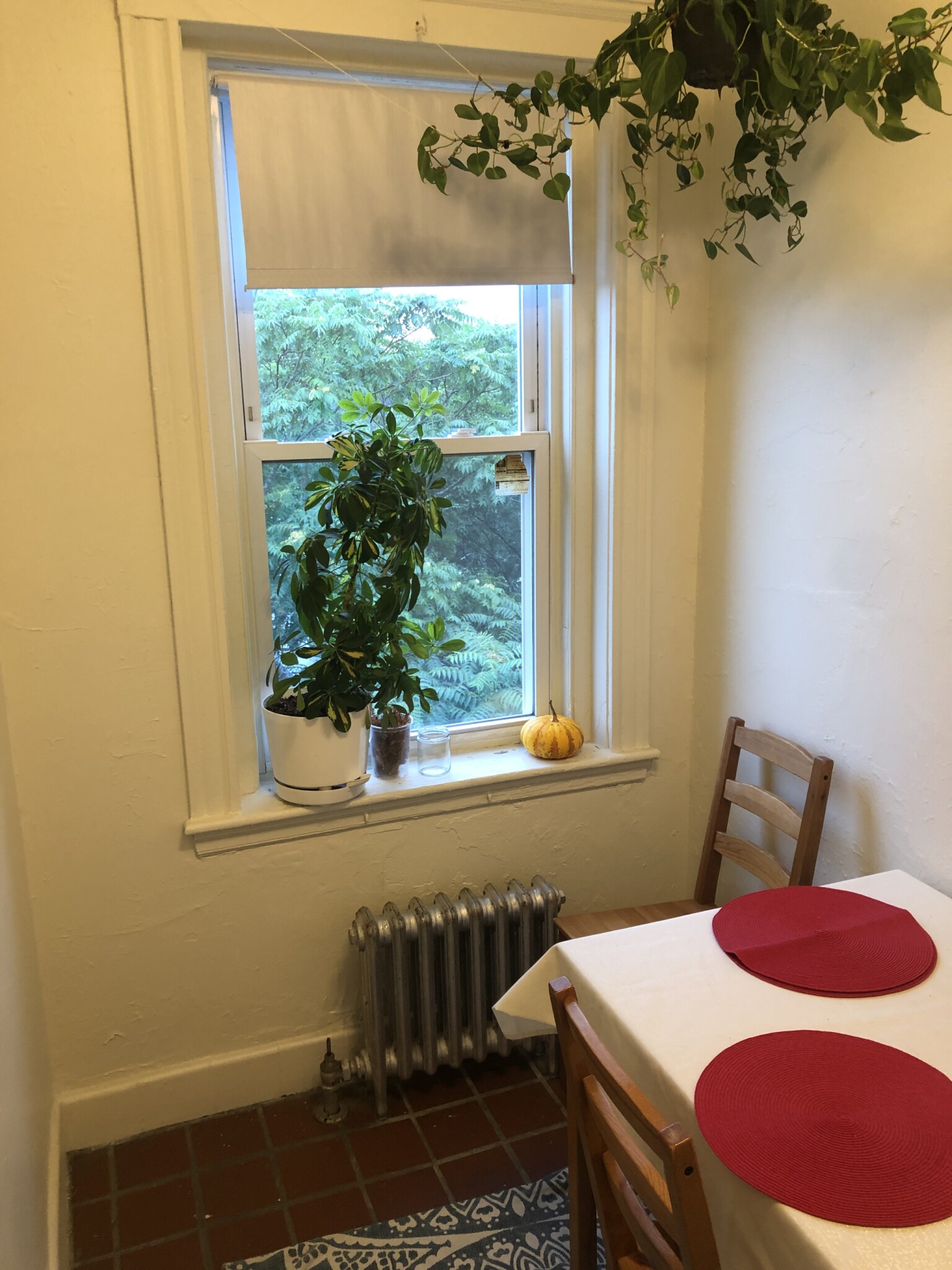 66 Chiswick Rd, Brighton