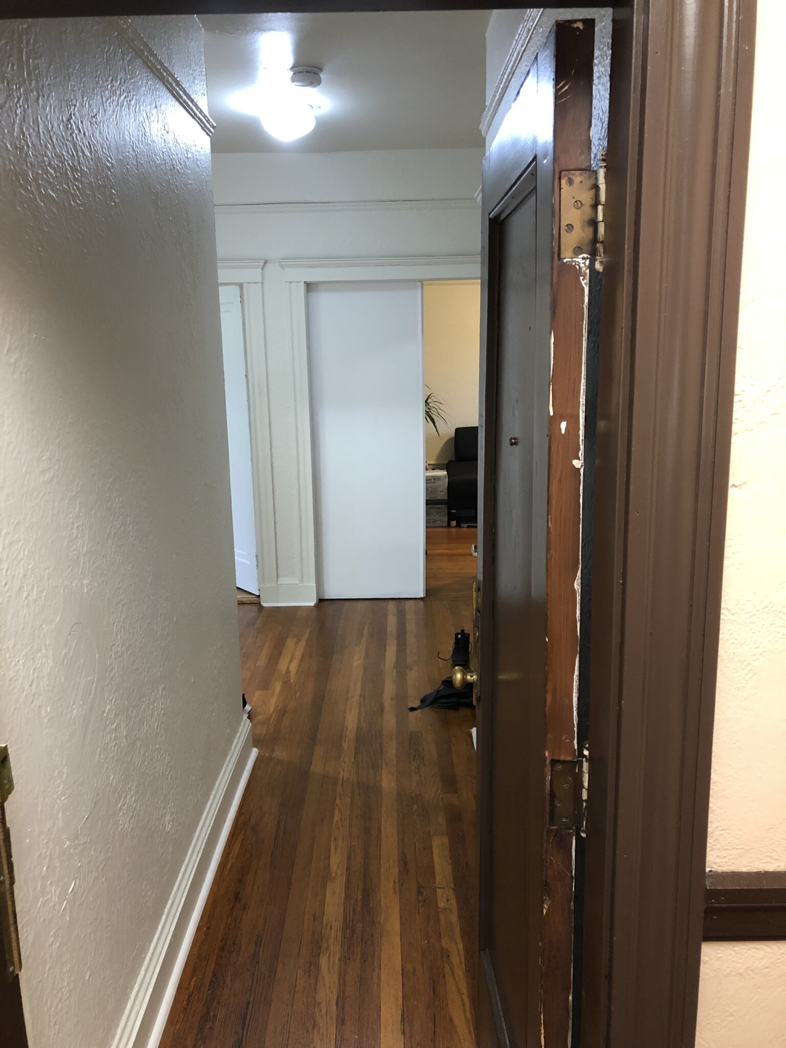 66 Chiswick Rd, Brighton