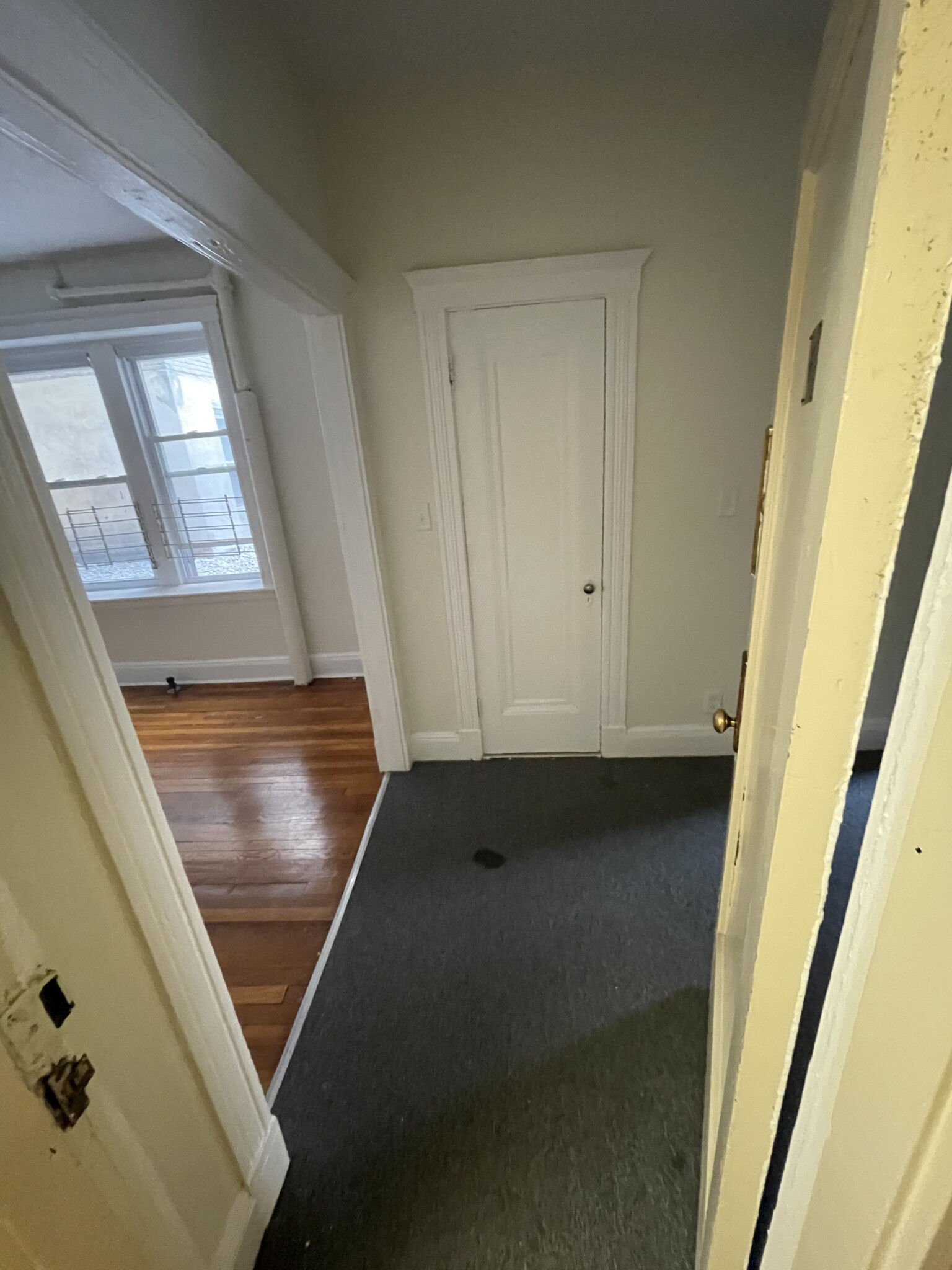 1 bed, 1 bath apartment for rent at 1820 Commonwealth Ave Unit 6A, Brighton — photo 8 of 13