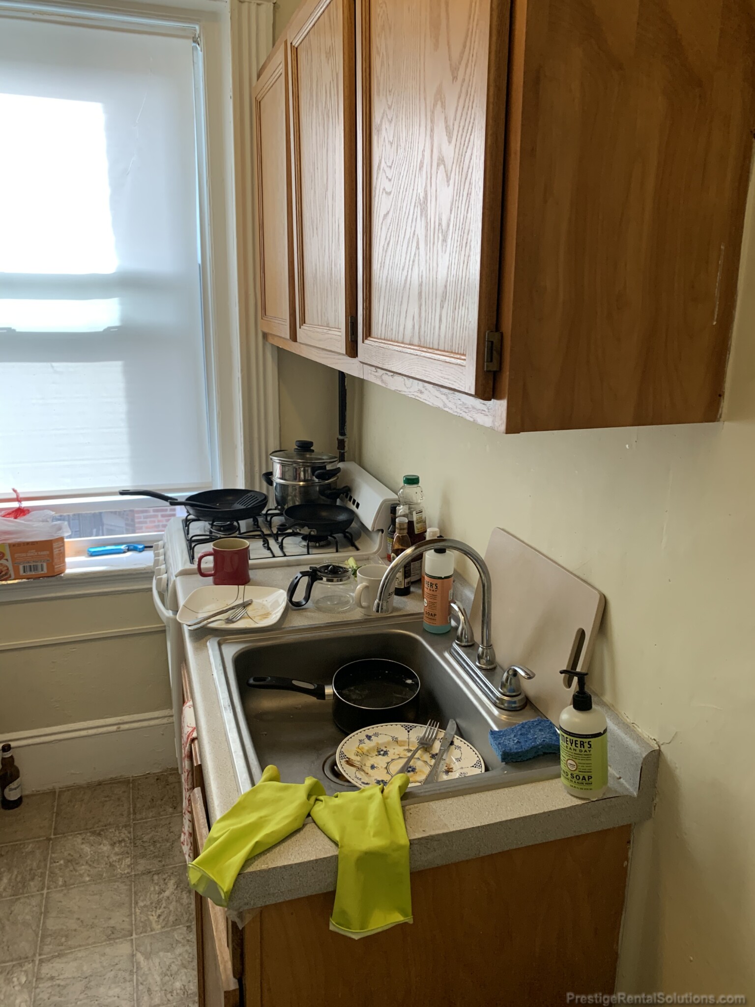 11 Royce Rd, Allston