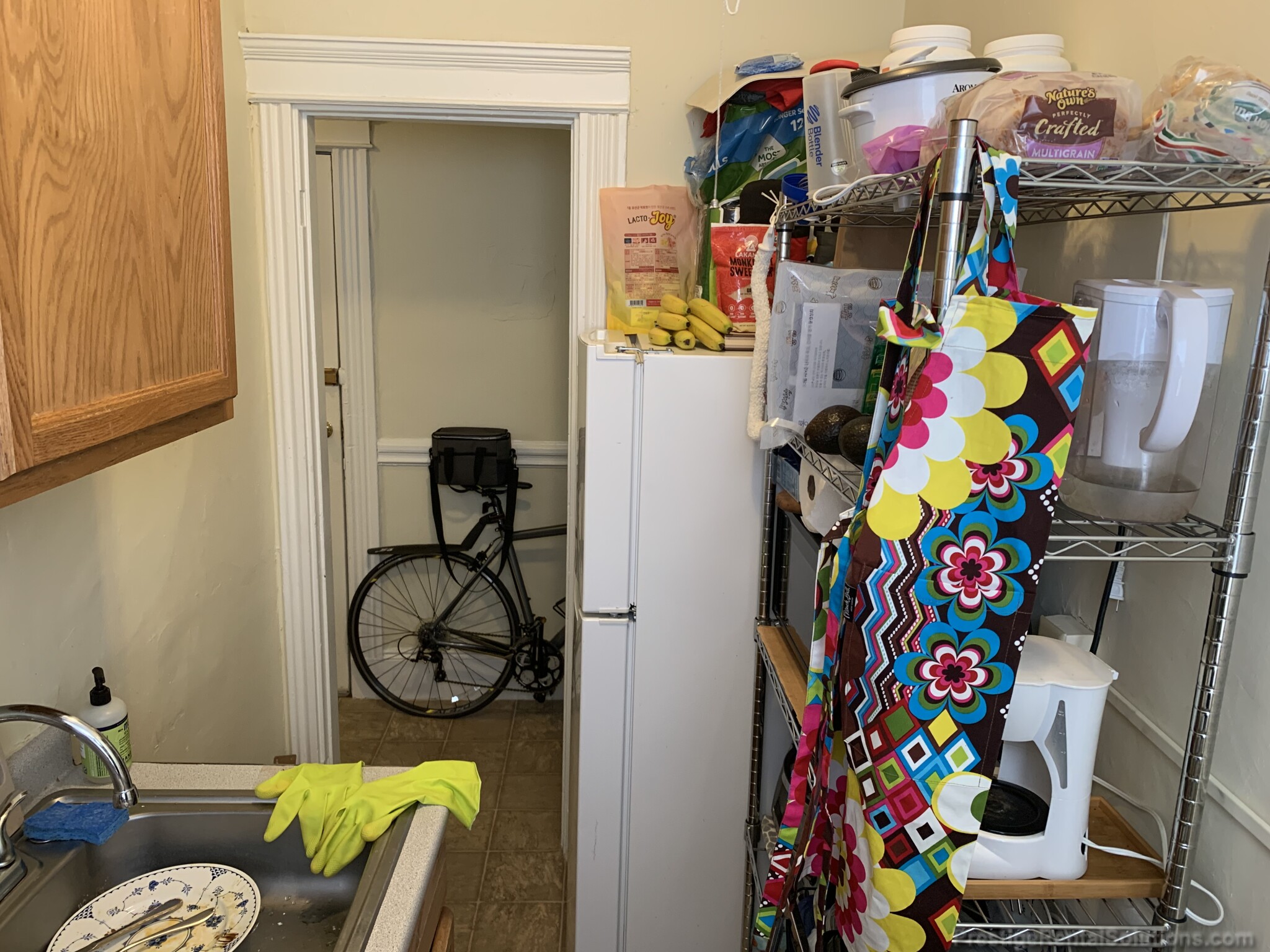 11 Royce Rd, Allston