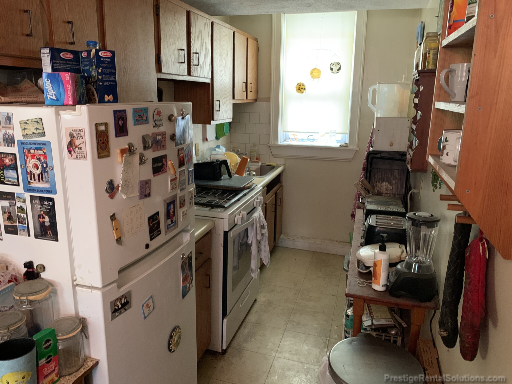 221 Kelton St, Brighton