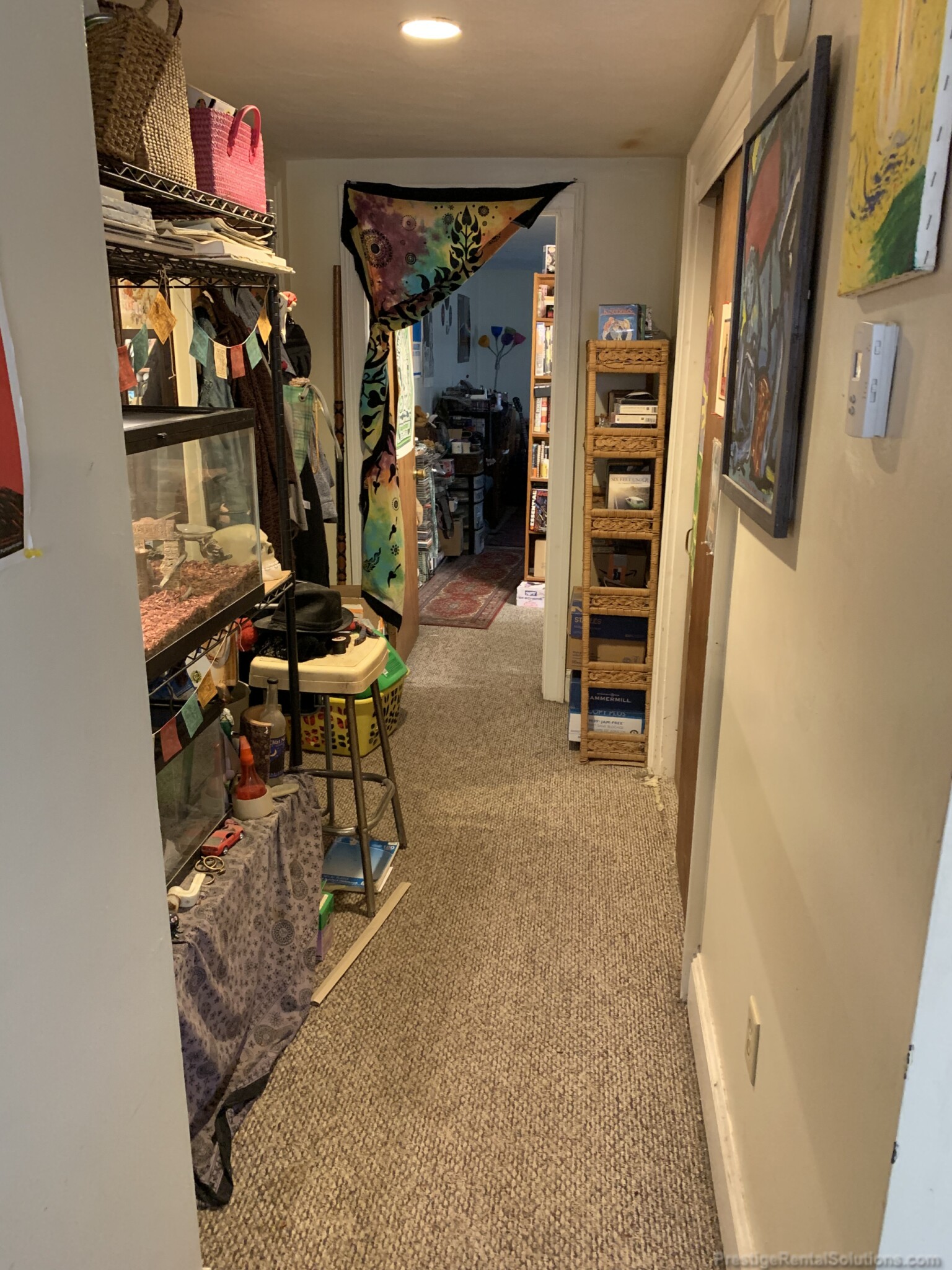 221 Kelton St, Brighton