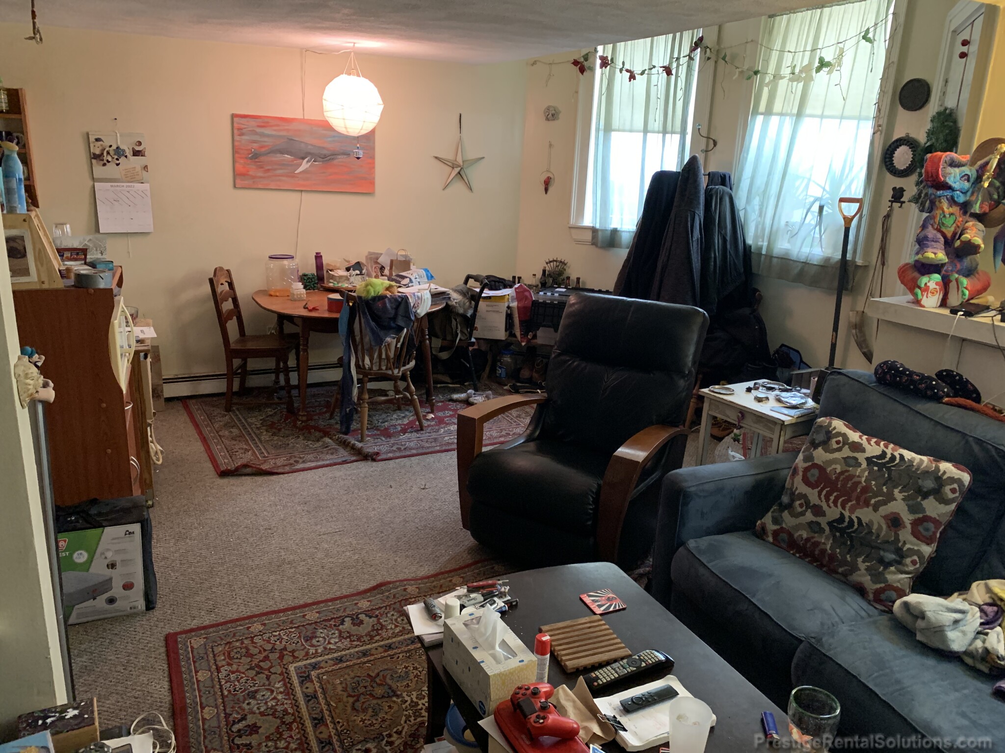 221 Kelton St, Brighton