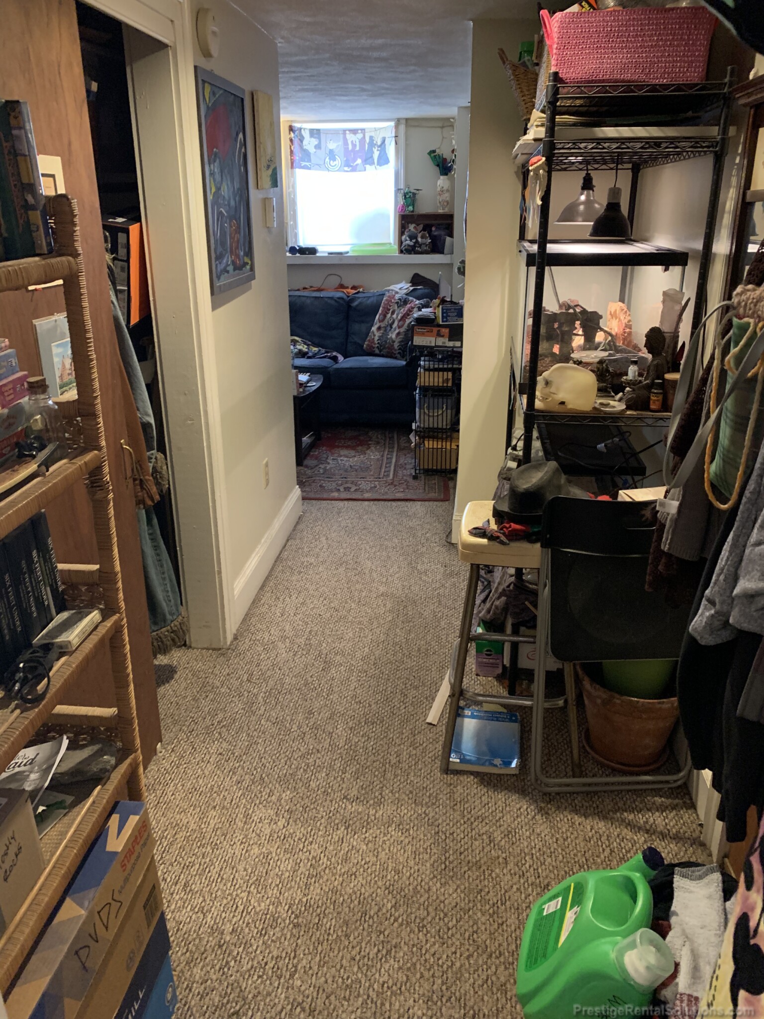 221 Kelton St, Brighton