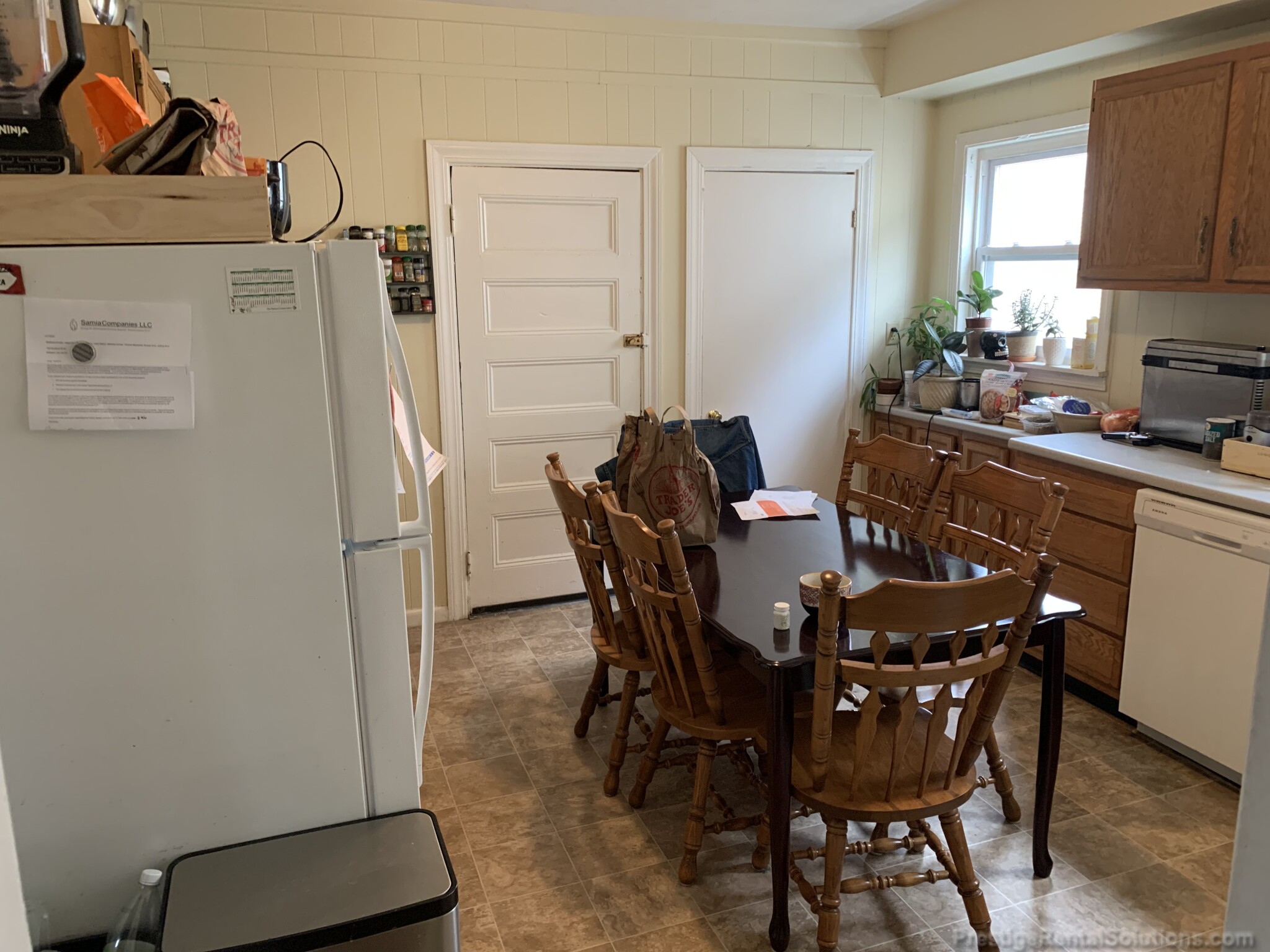 102 Murdock St, Brighton