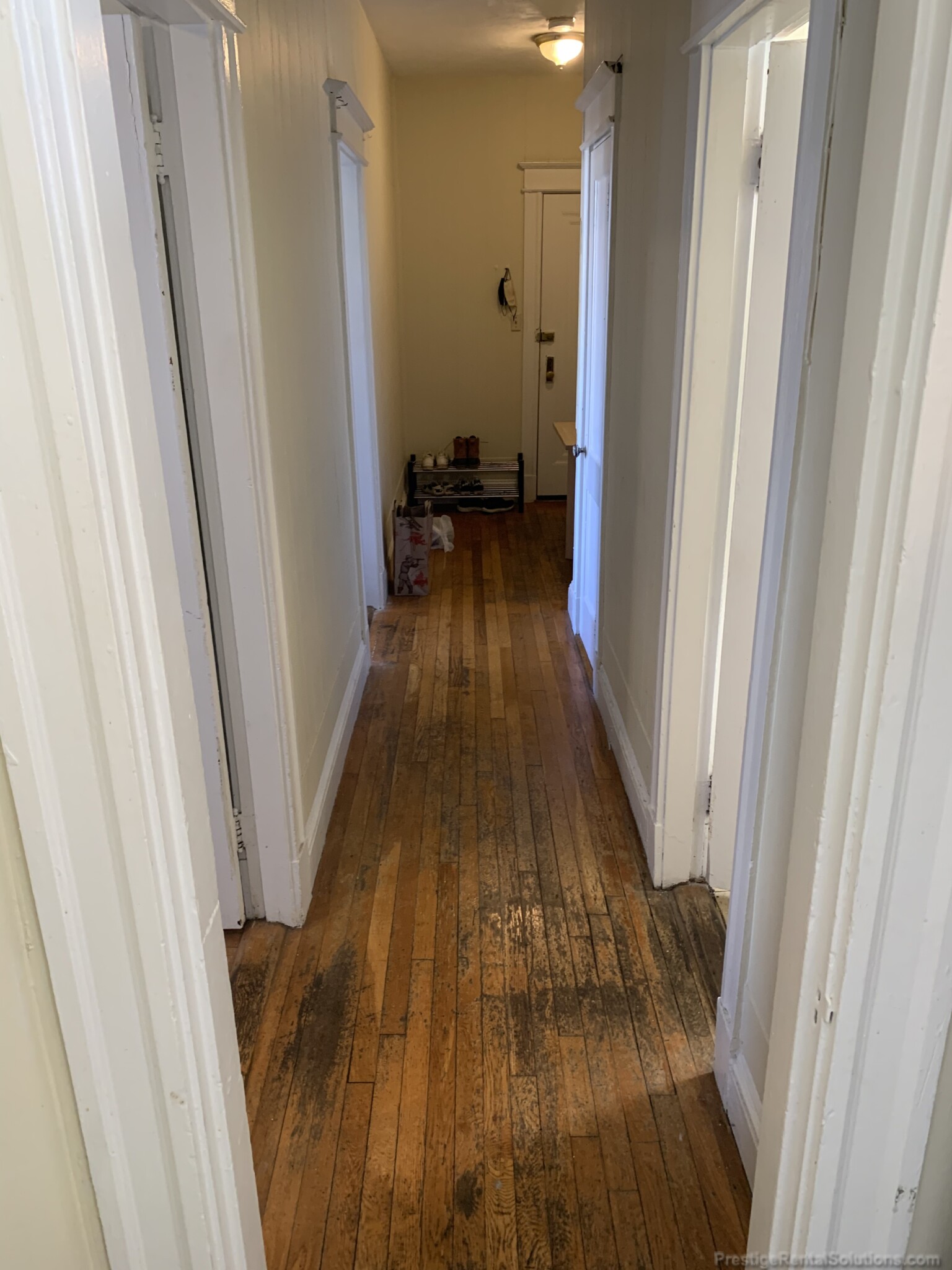 68 Woodstock Ave, Brighton