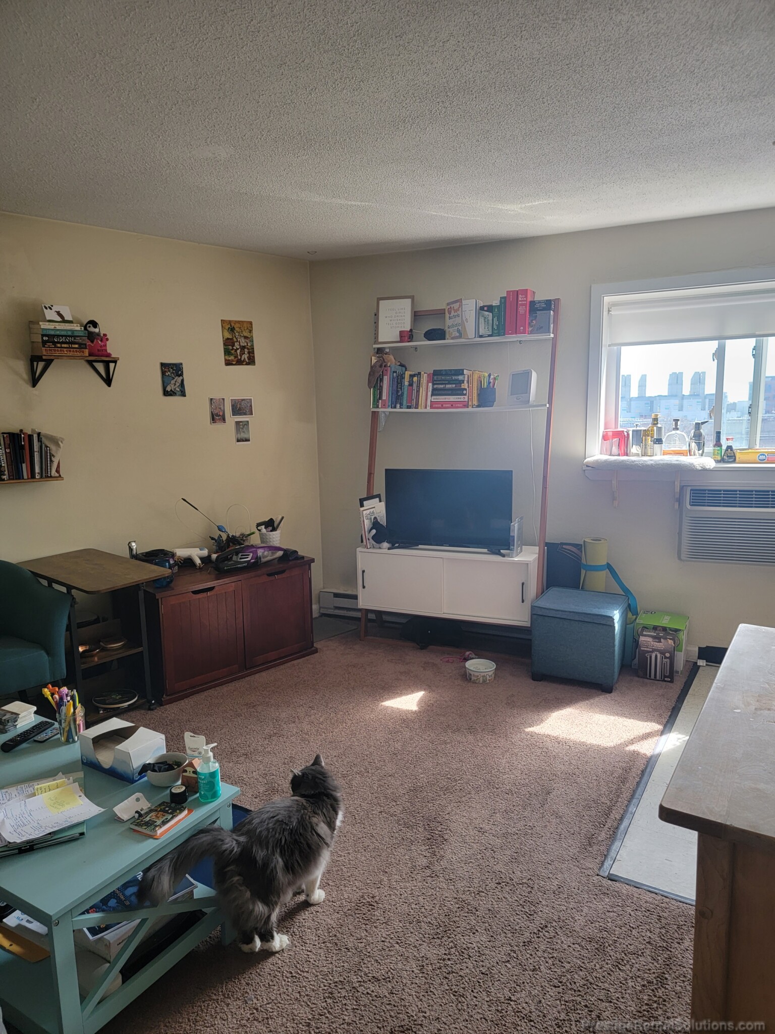 231 Harrison Ave, Chinatown