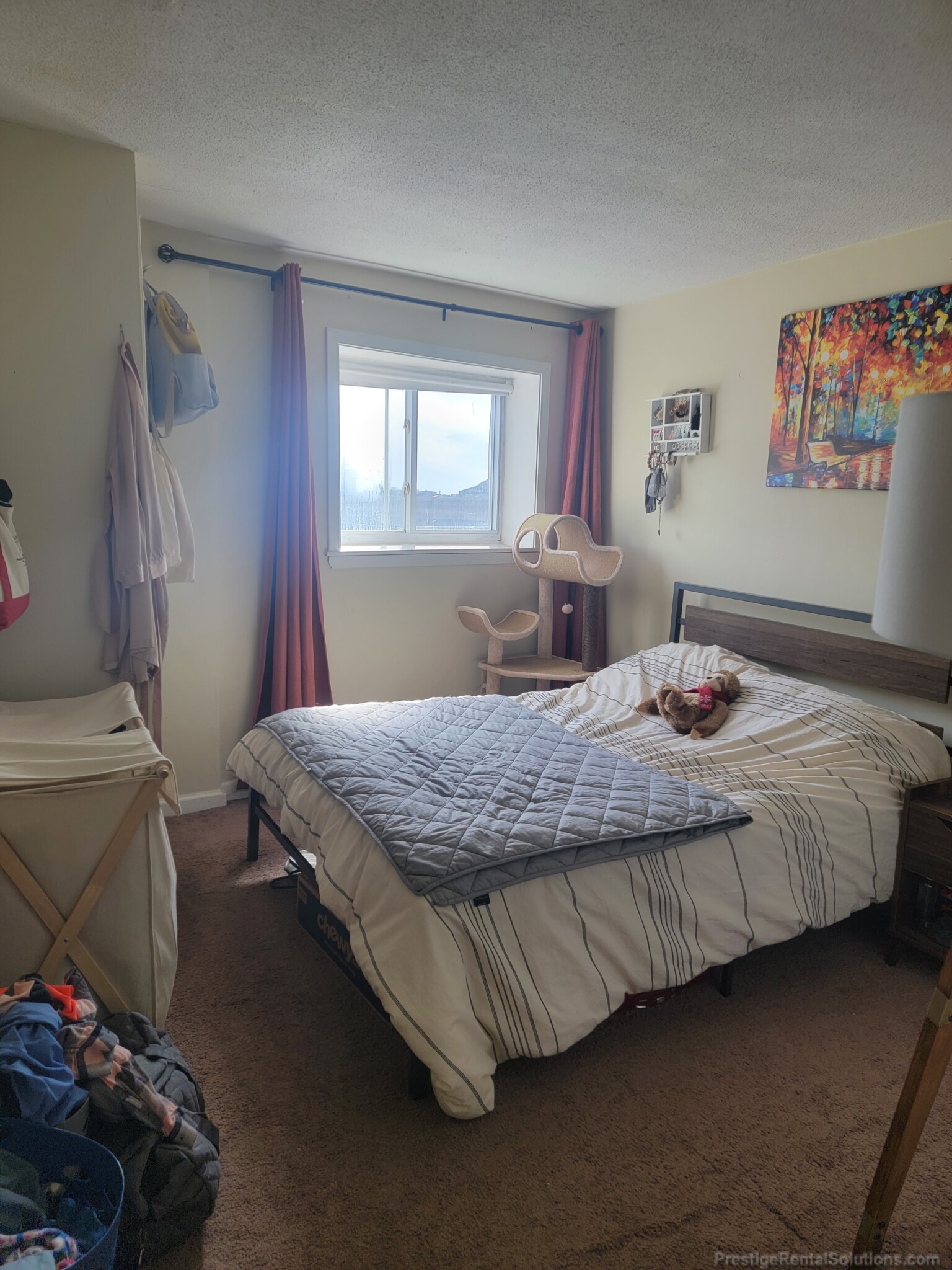 231 Harrison Ave, Chinatown