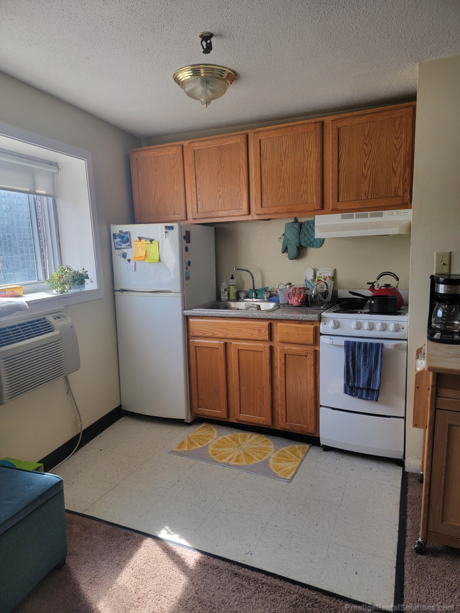 231 Harrison Ave, Chinatown