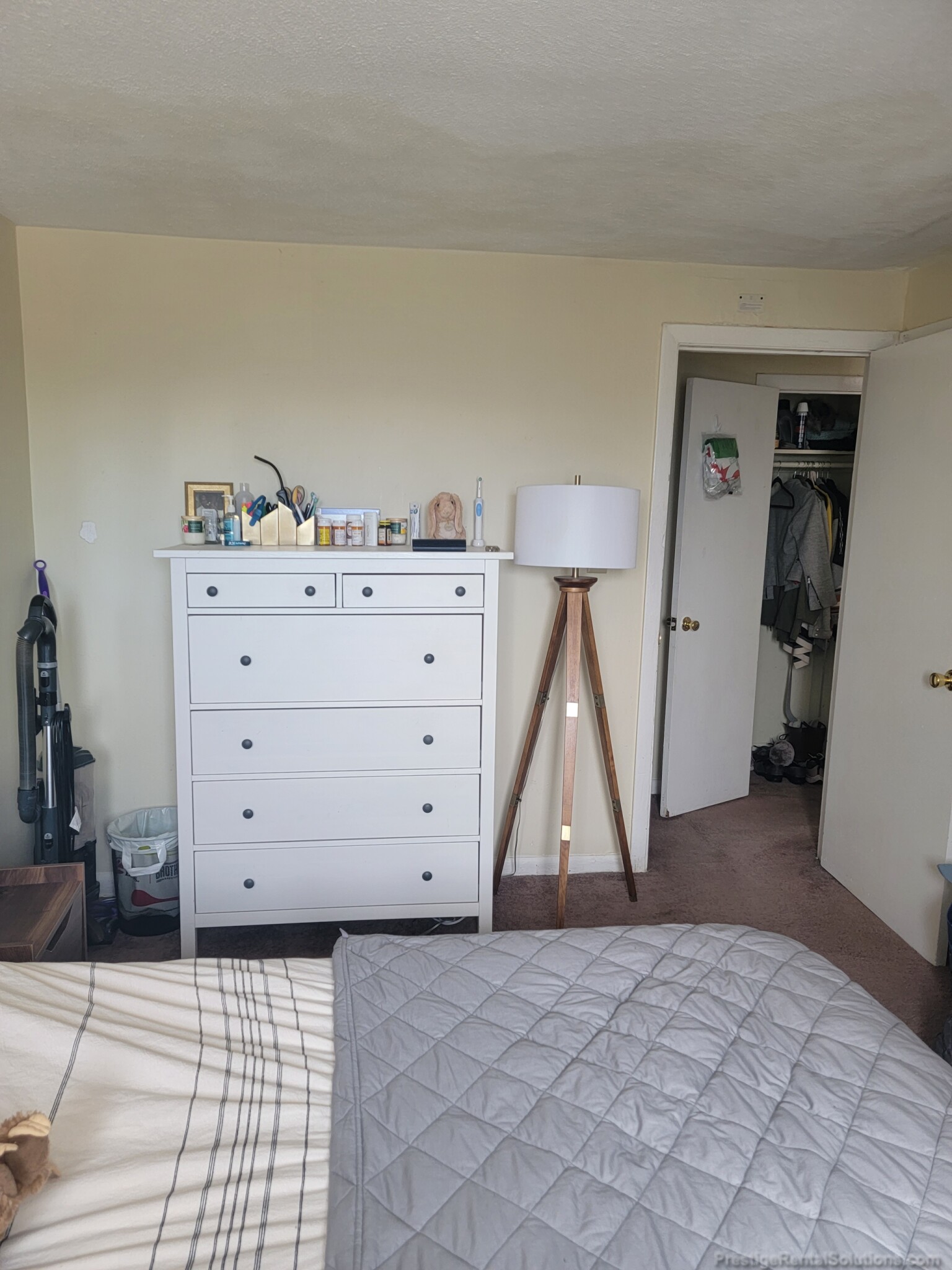 231 Harrison Ave, Chinatown