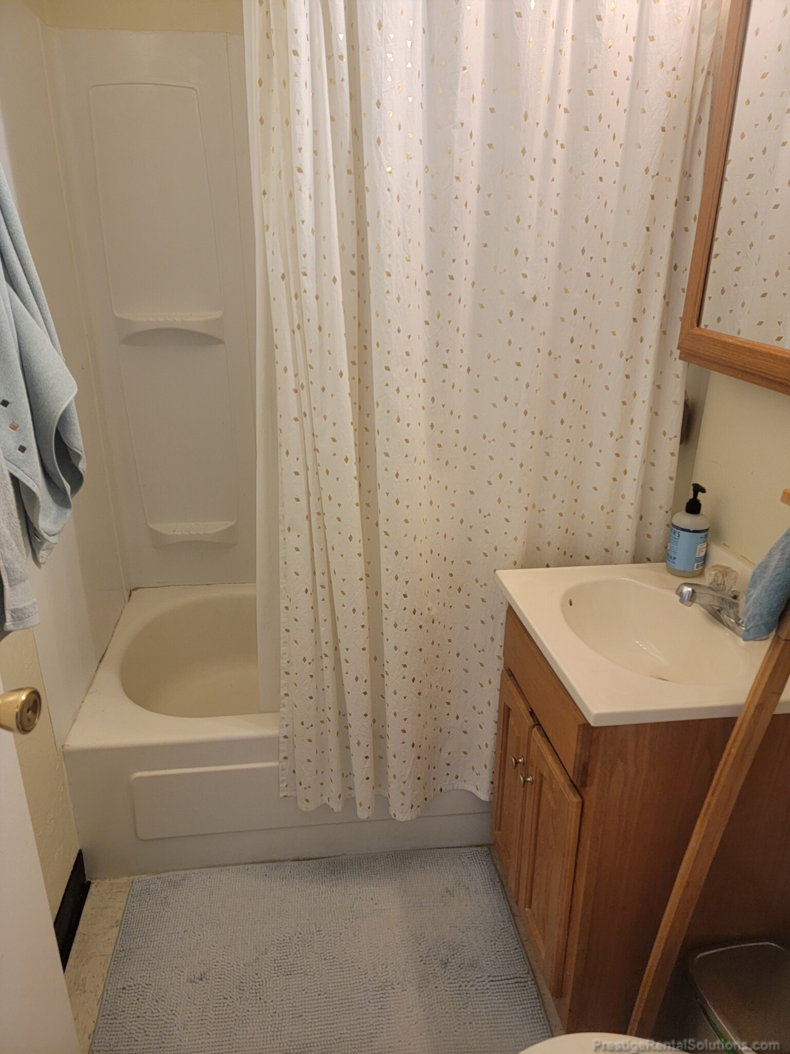 231 Harrison Ave, Chinatown