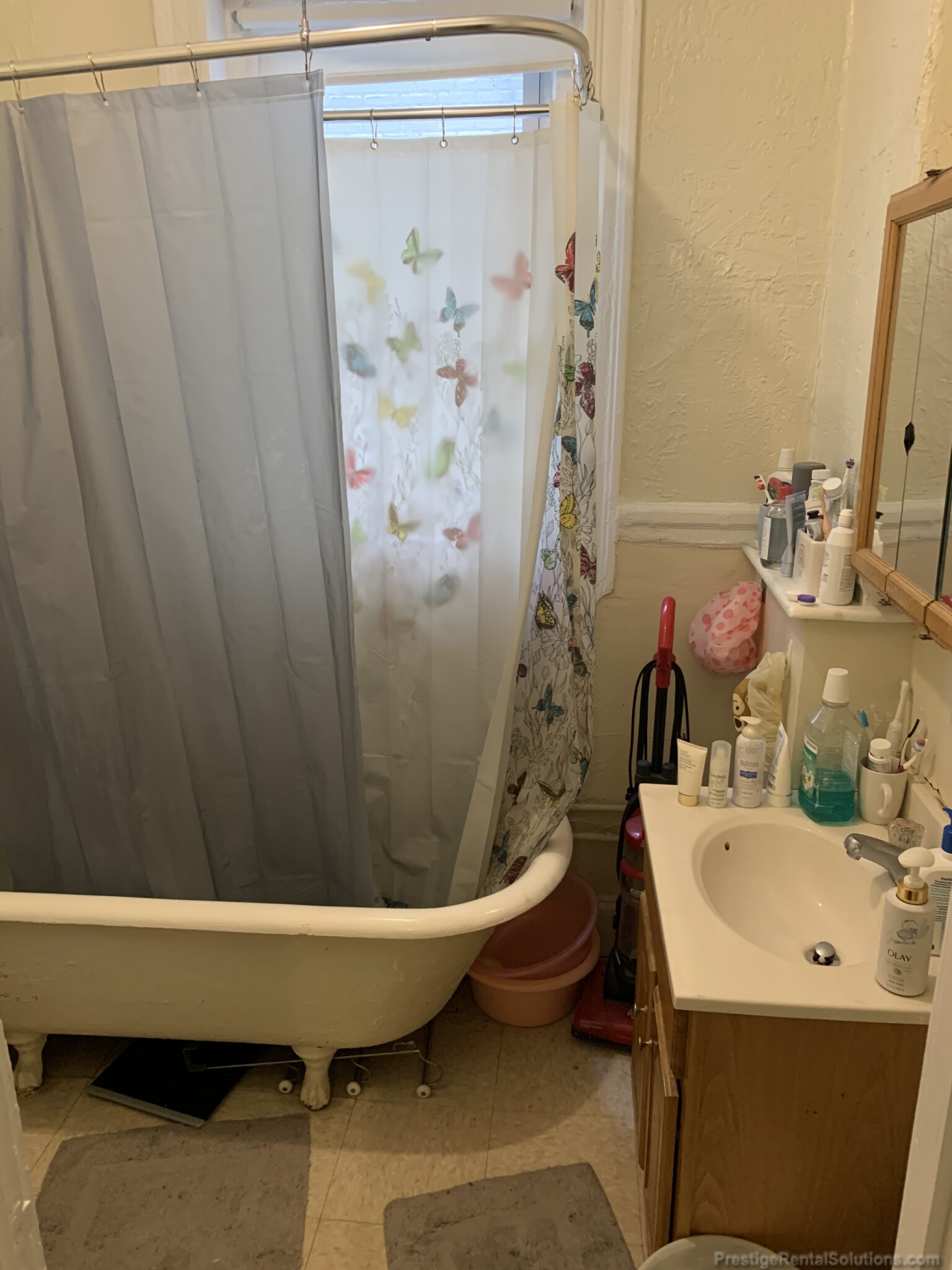 165 Kelton St, Brighton