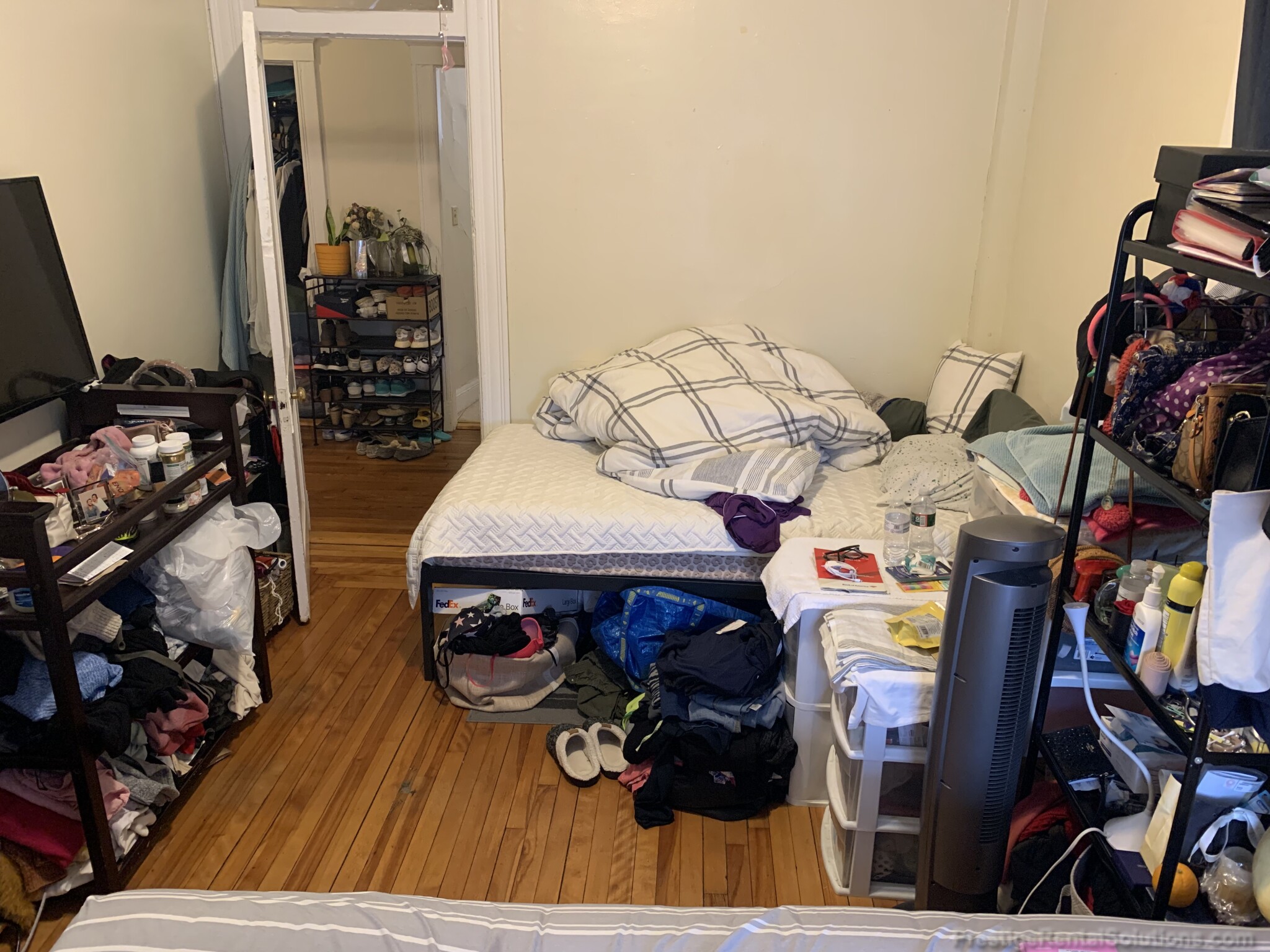 165 Kelton St, Brighton