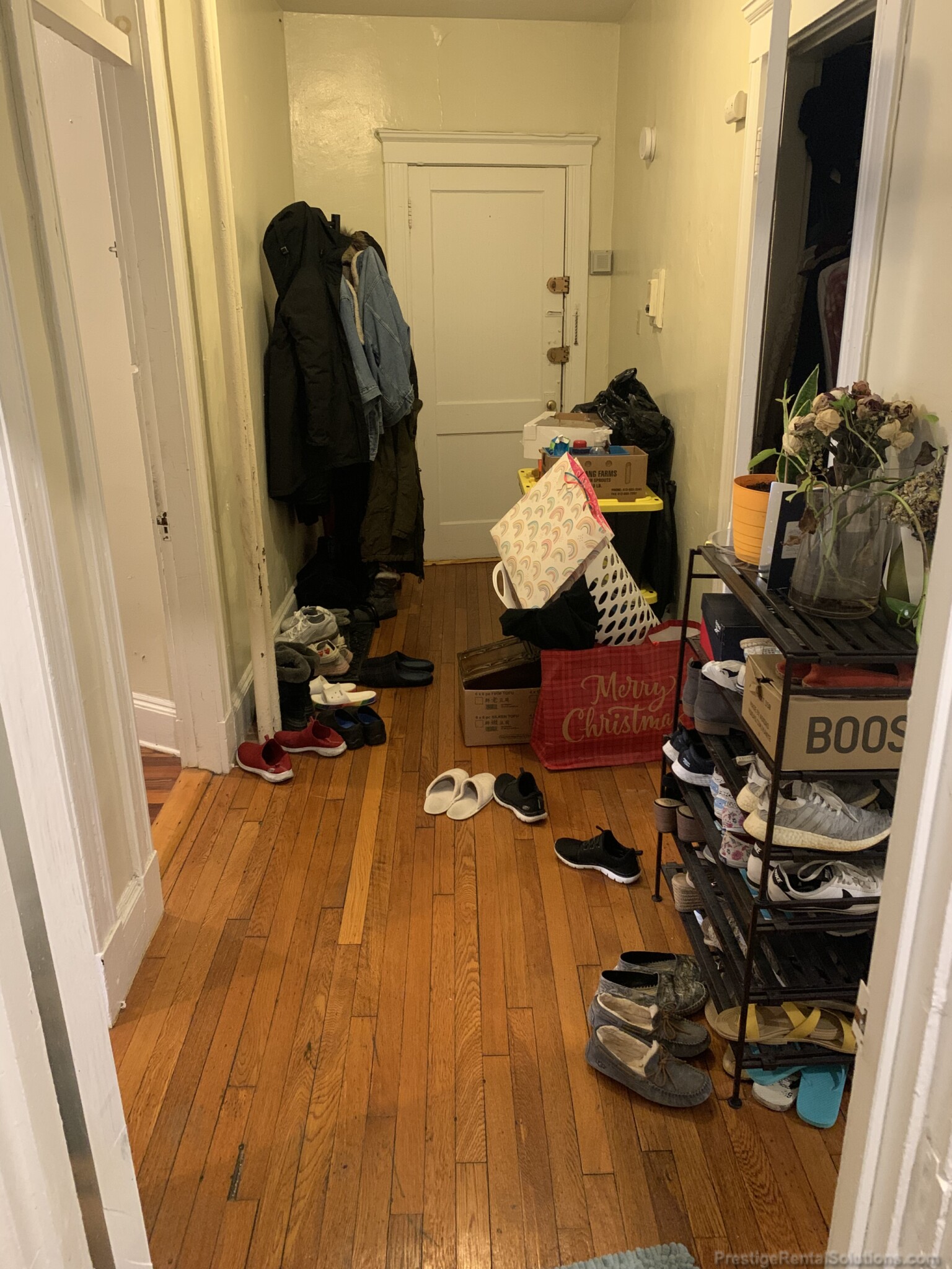 165 Kelton St, Brighton