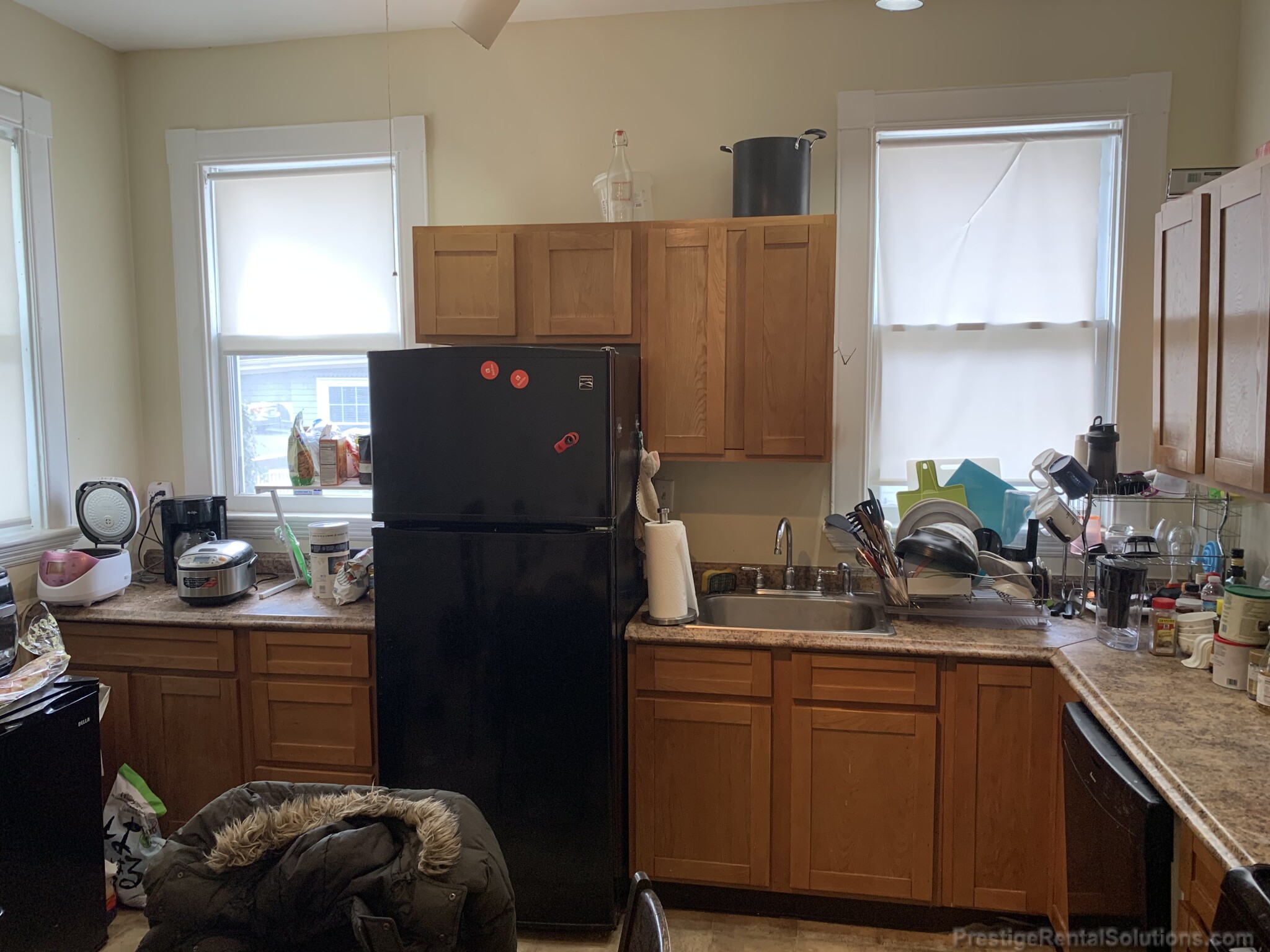 19 Braemore Rd, Brighton