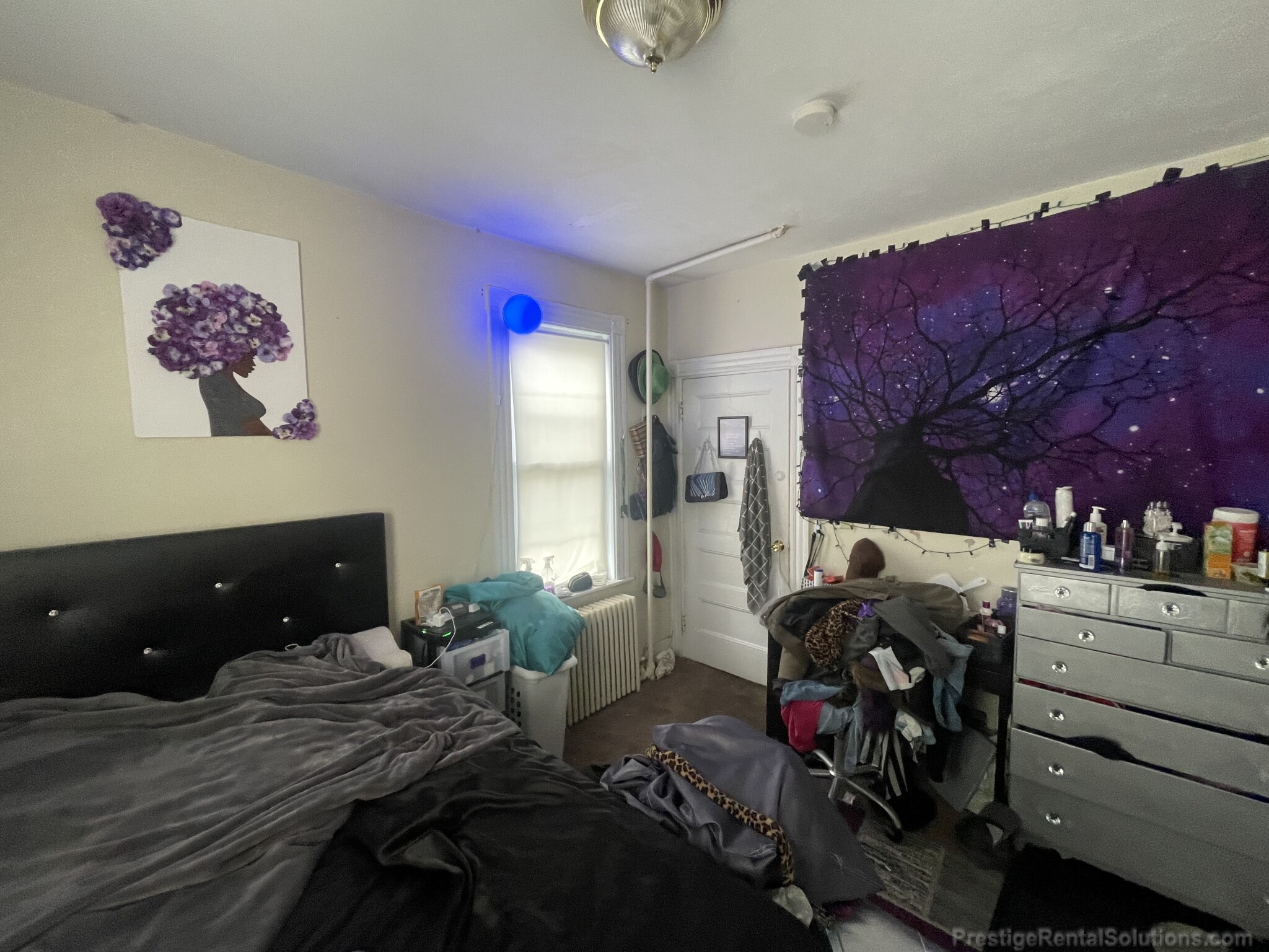 50 Winship St, Brighton