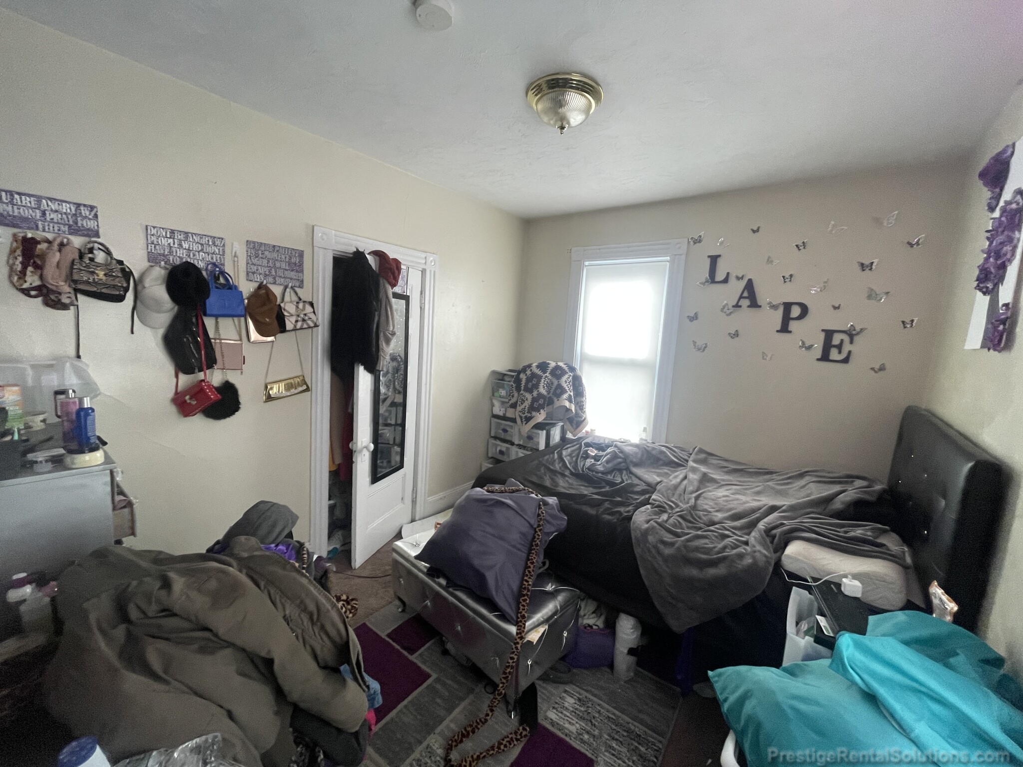 50 Winship St, Brighton