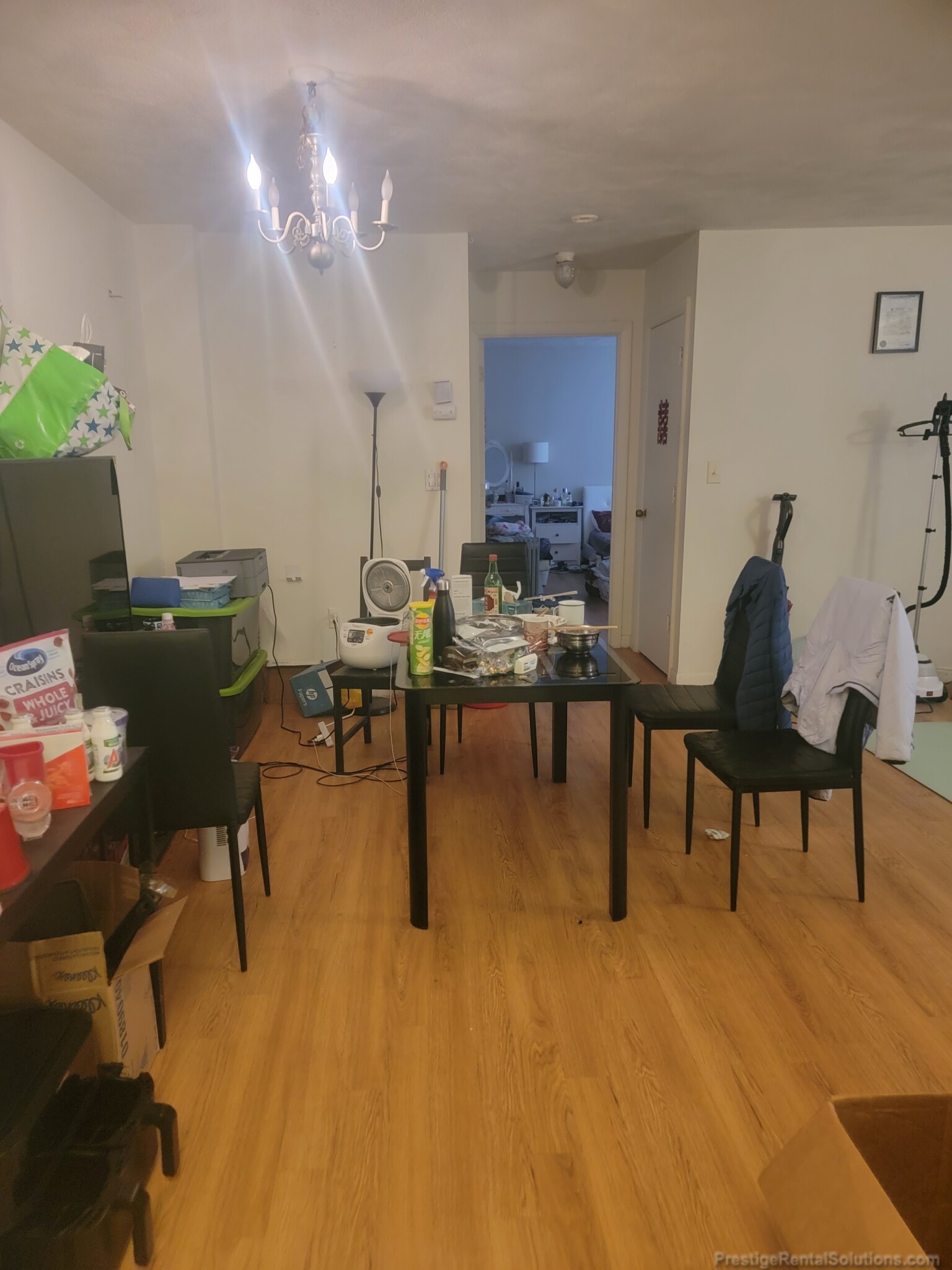 8 Gerald Rd, Brighton