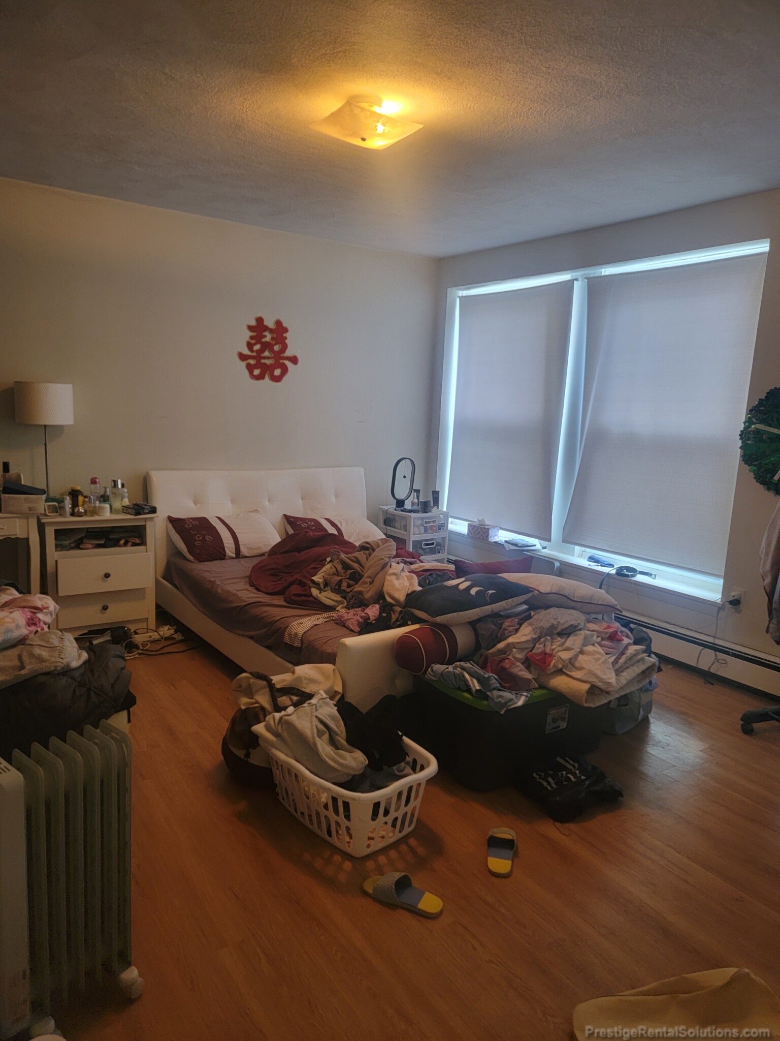 8 Gerald Rd, Brighton