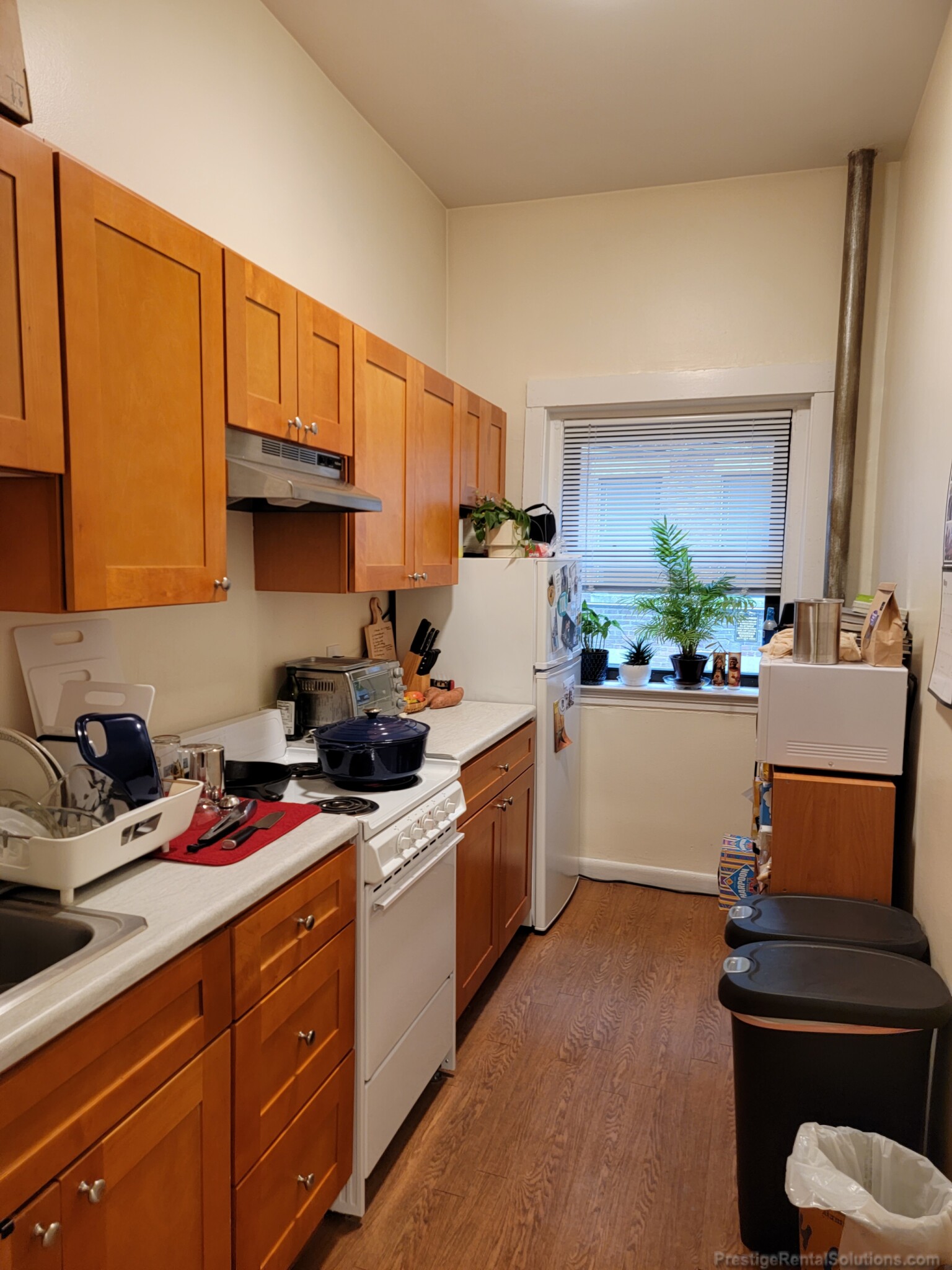 1315 Commonwealth Ave, Allston