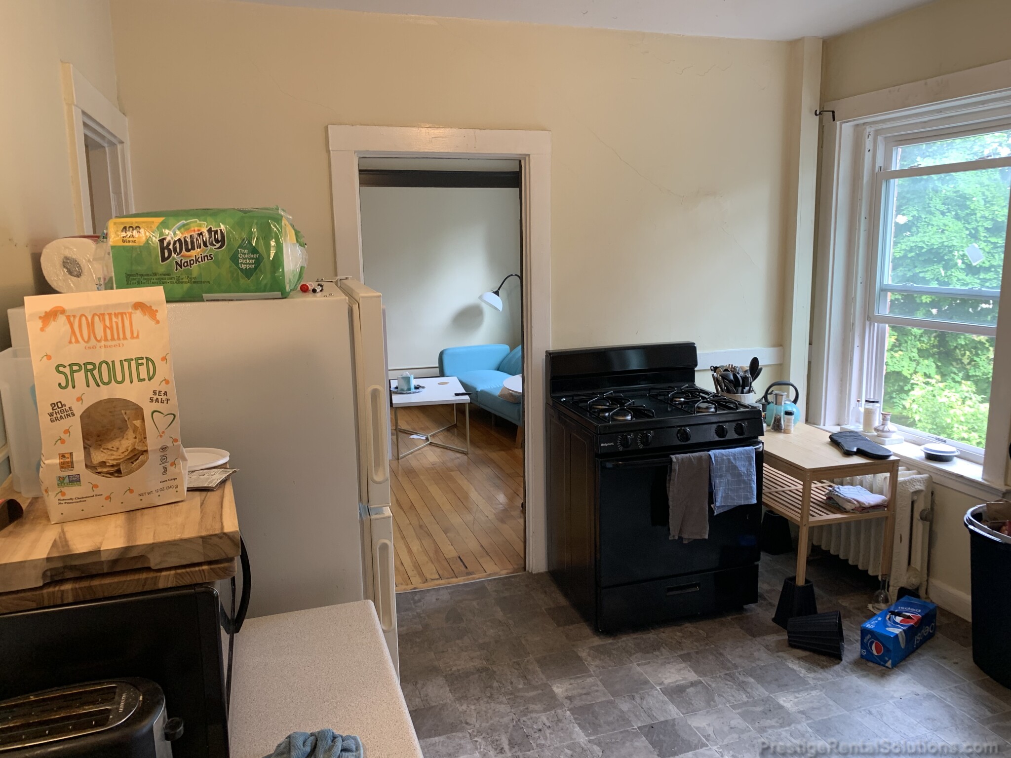 228 South St, Jamaica Plain