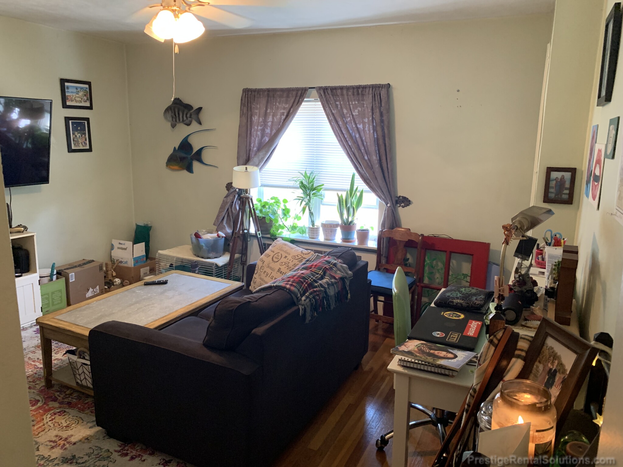 24 Brock St, Brighton