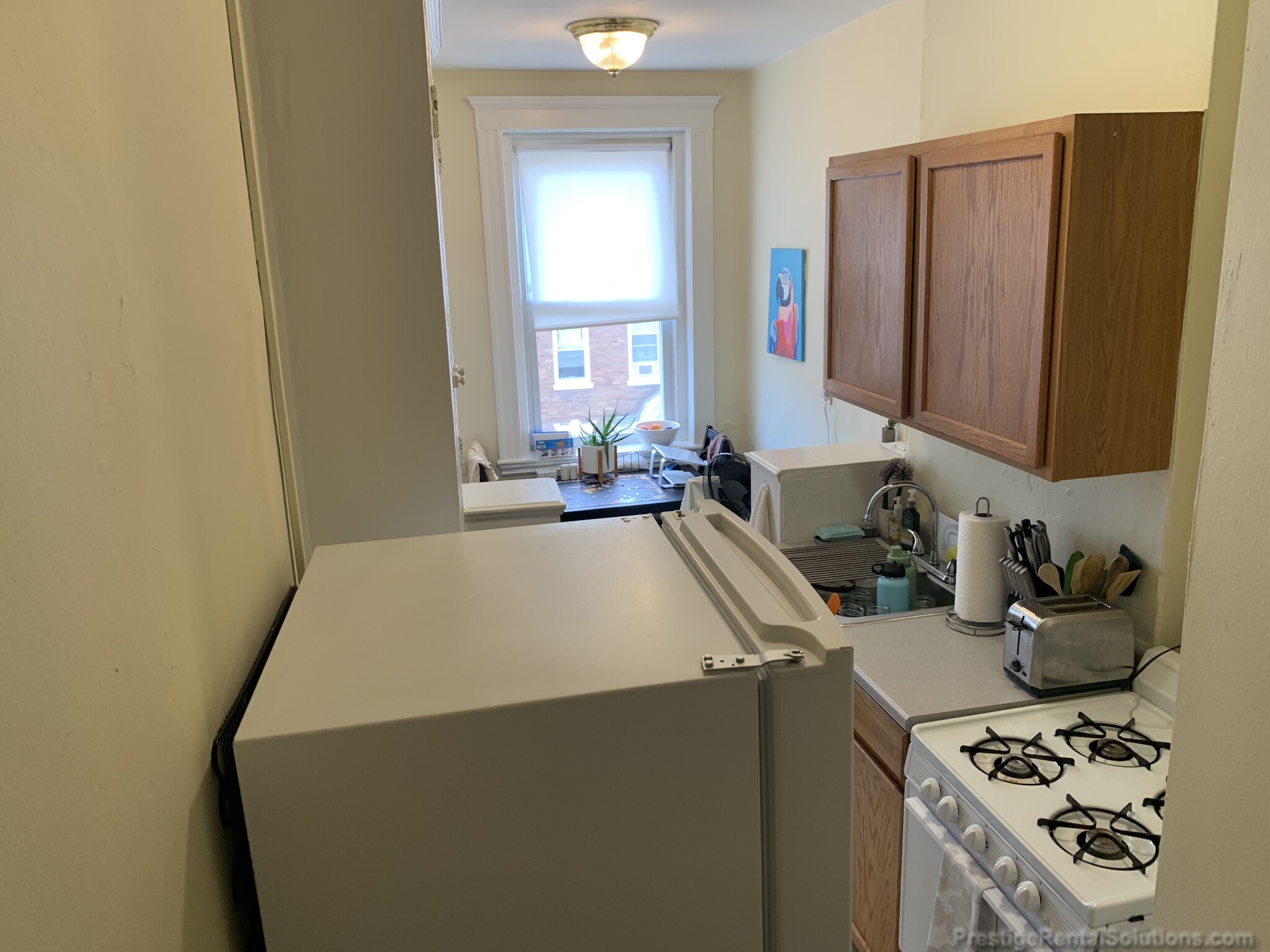 224 Kelton St, Allston