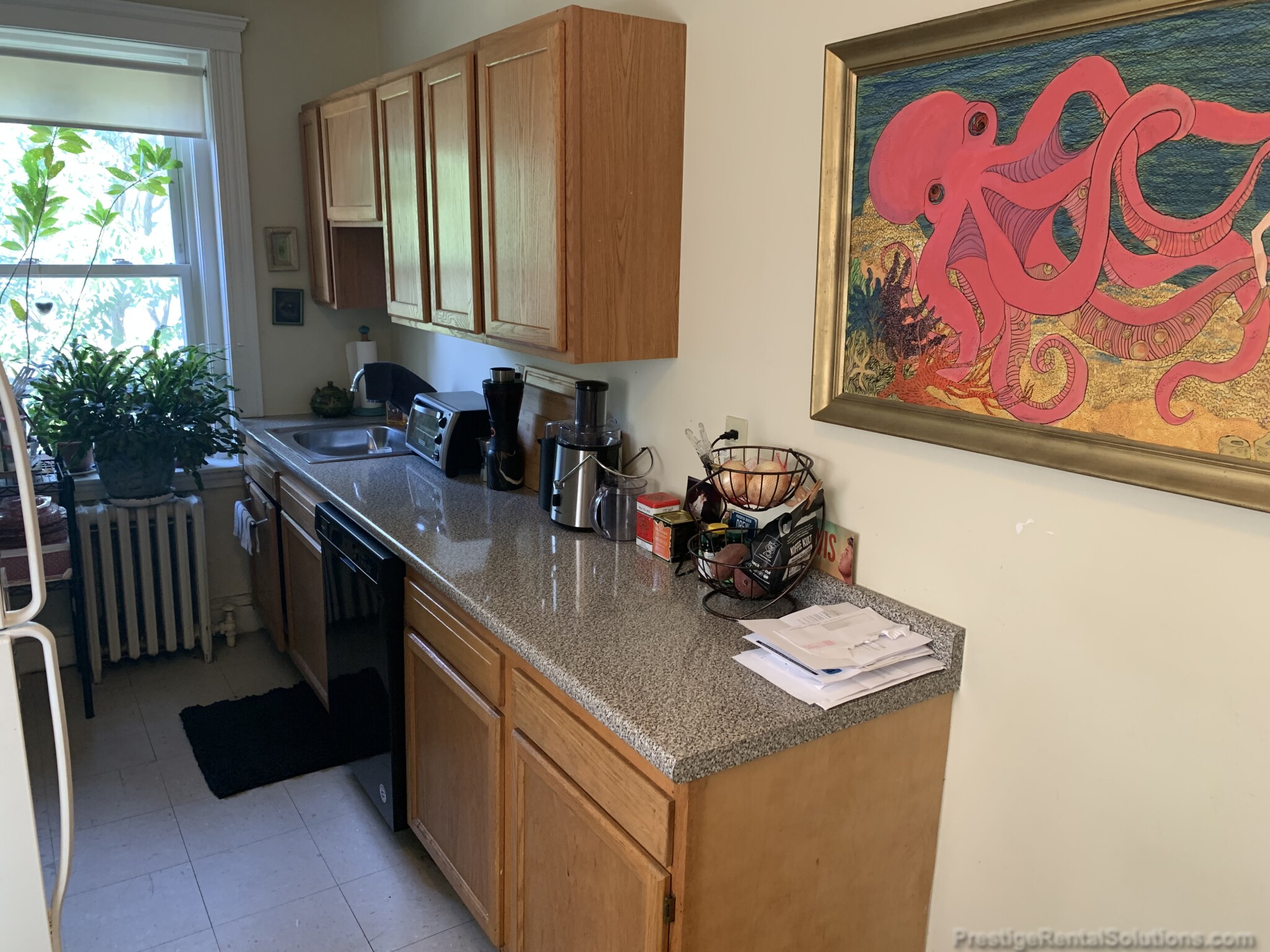 51 Linden St, Allston