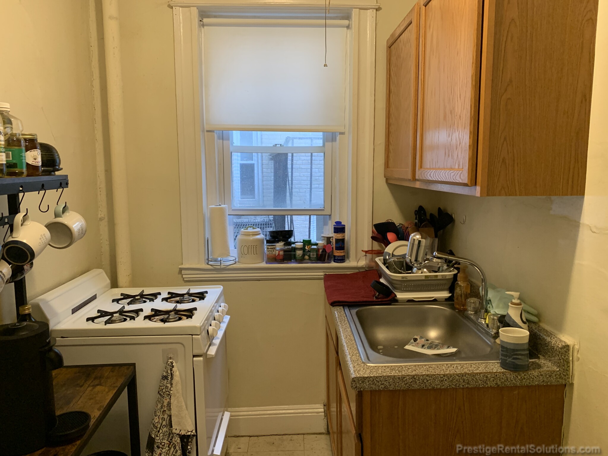 64 Woodstock Ave, Brighton