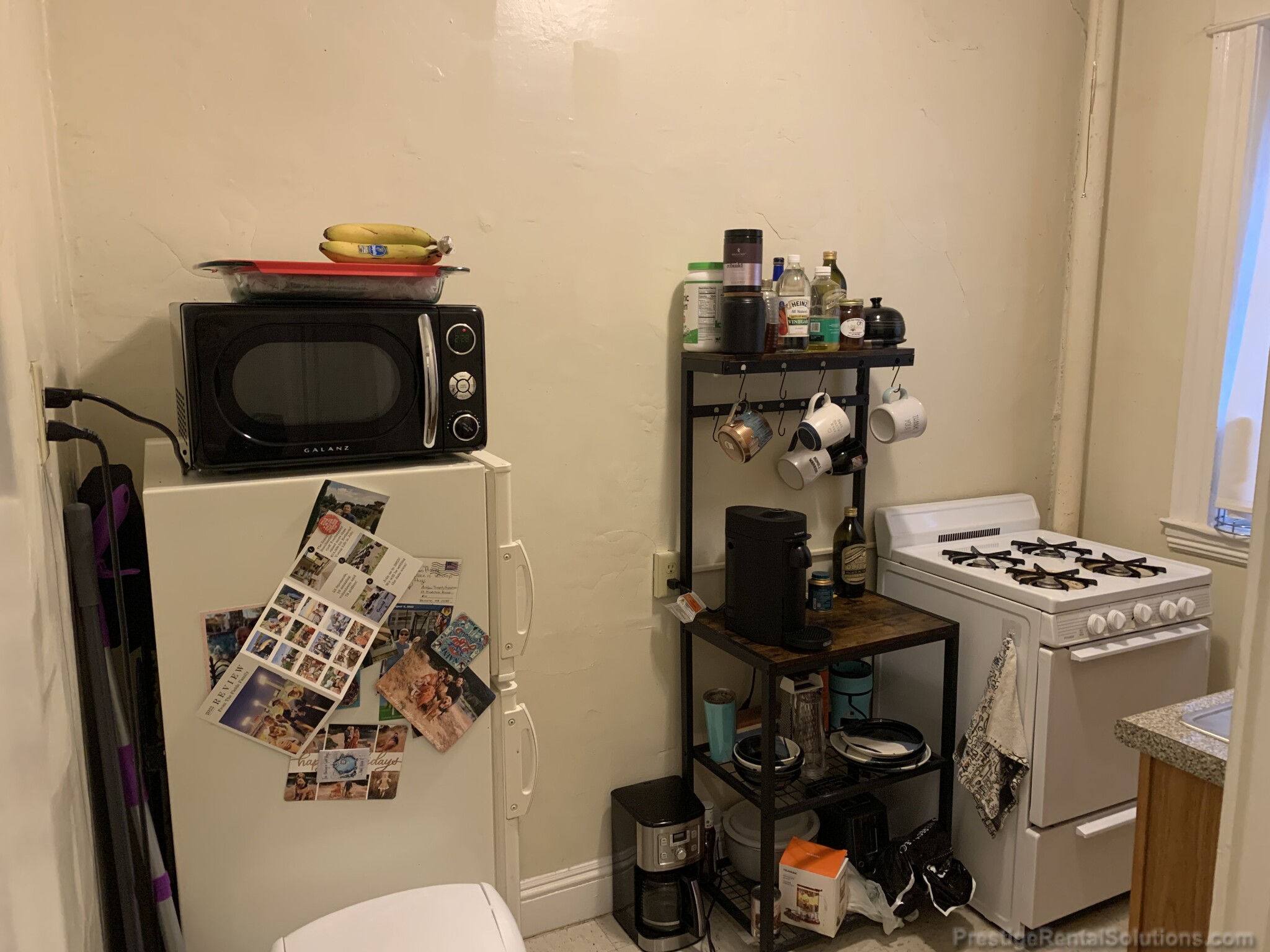 64 Woodstock Ave, Brighton