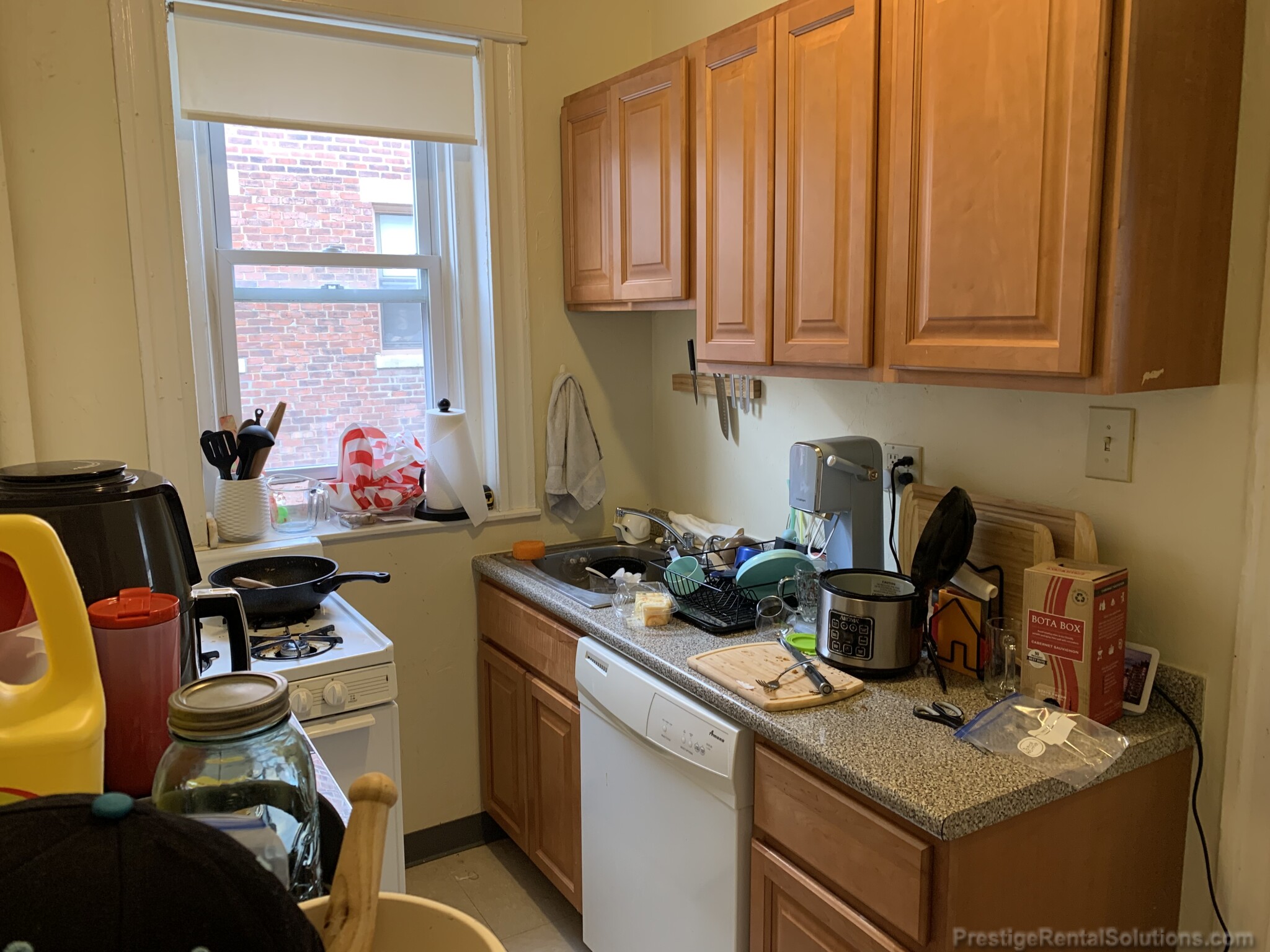 217 Kelton St, Brighton