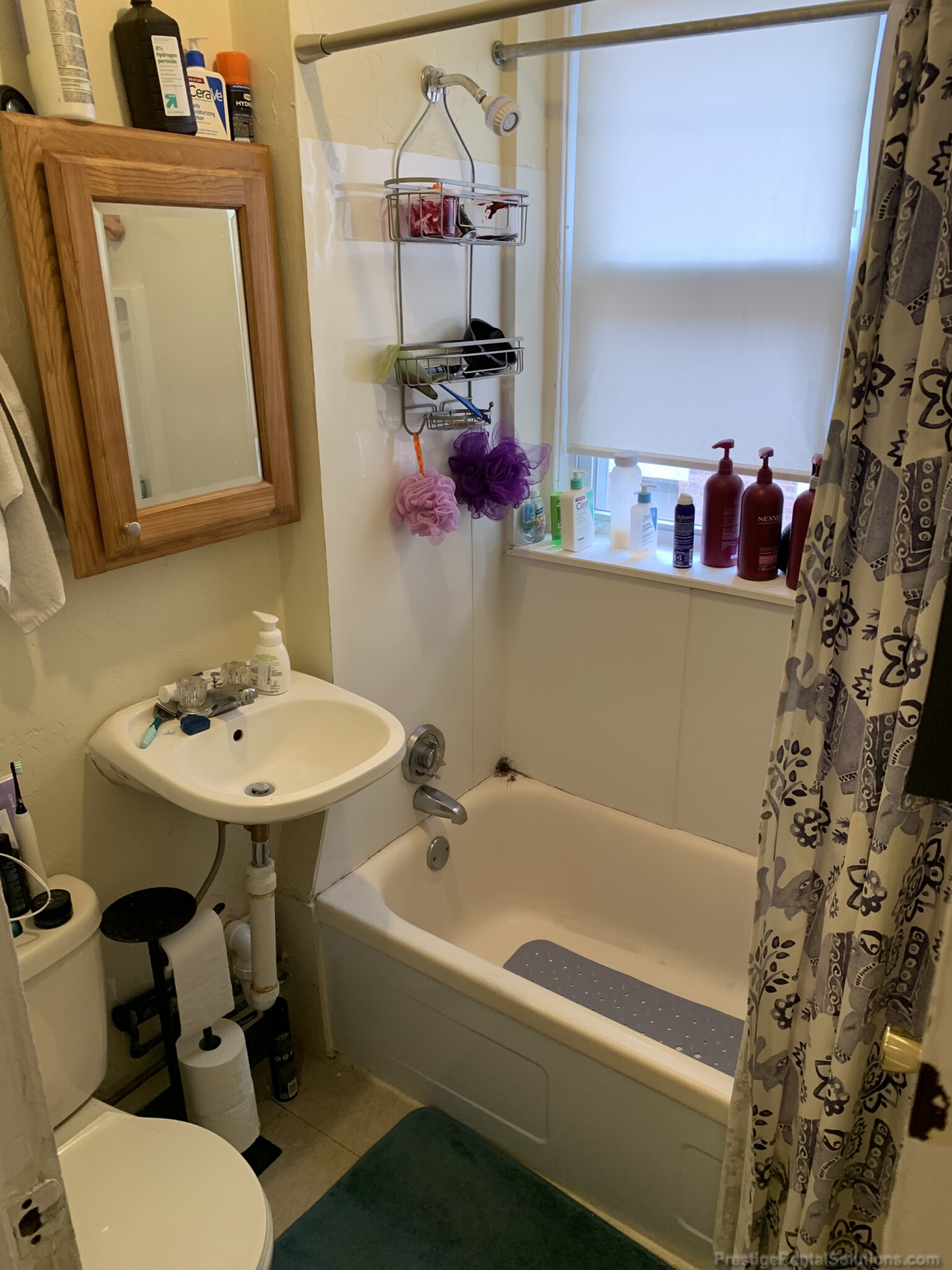 217 Kelton St, Brighton