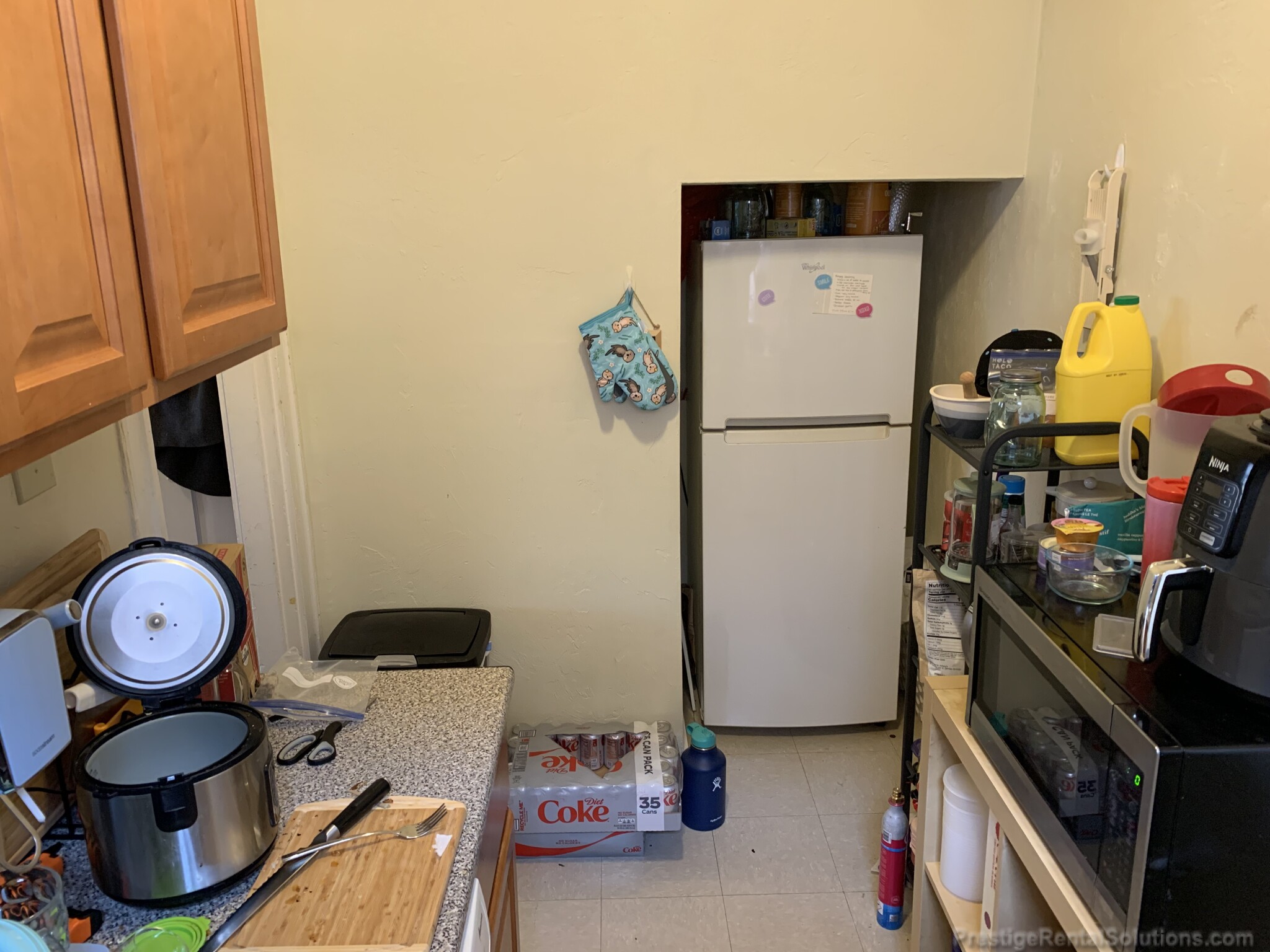 217 Kelton St, Brighton