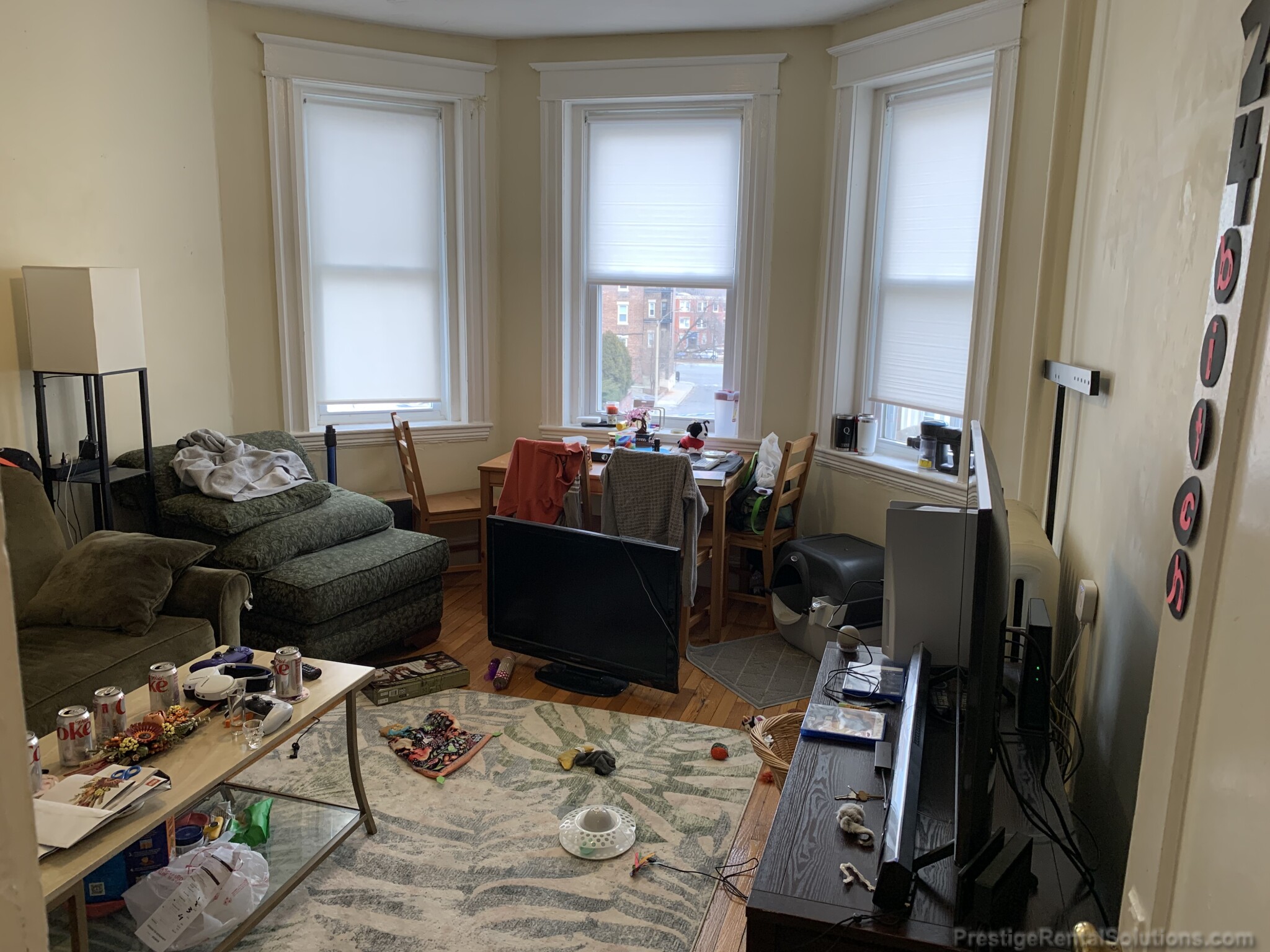 217 Kelton St, Brighton