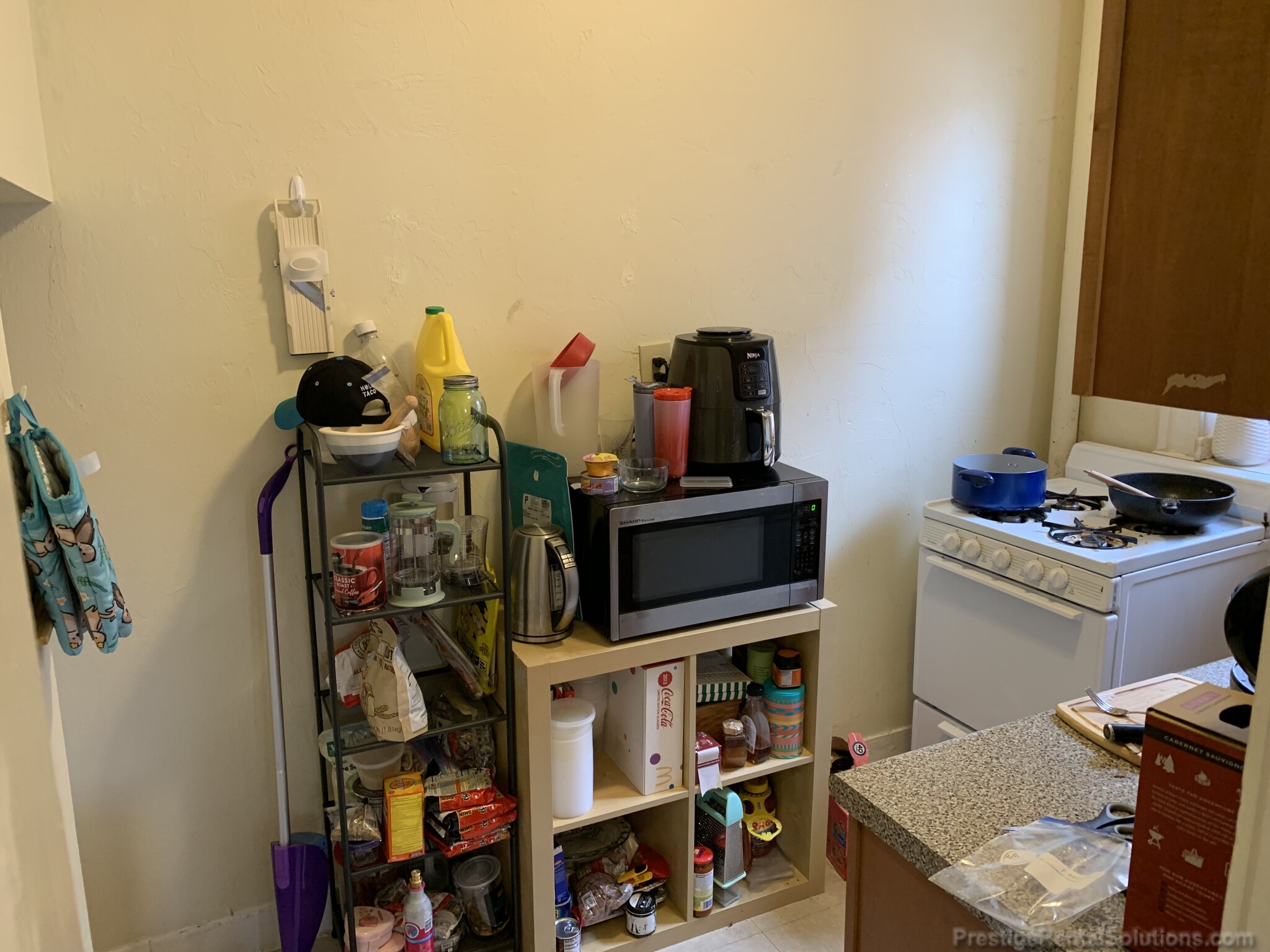 217 Kelton St, Brighton