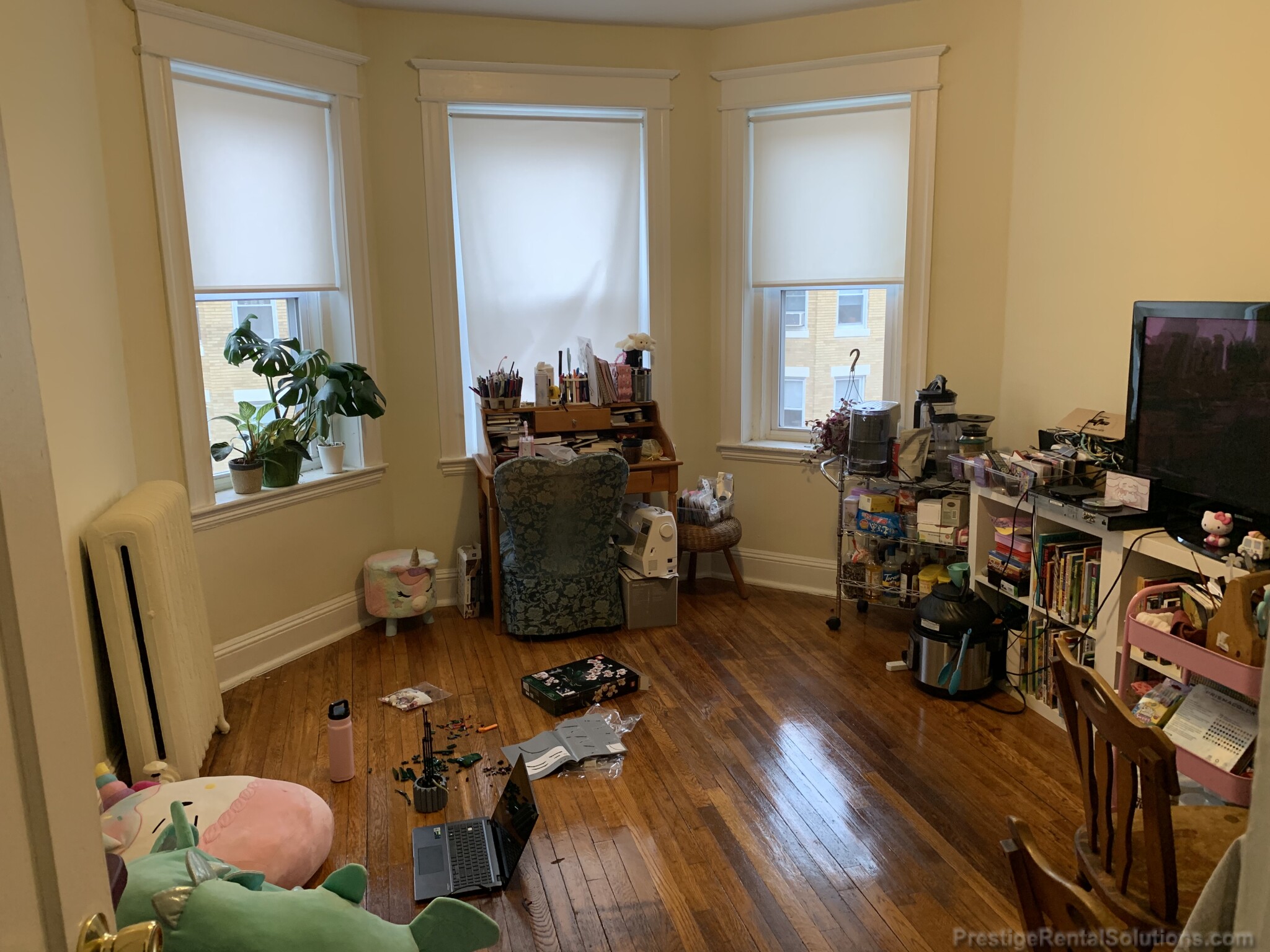 221 Kelton St, Brighton