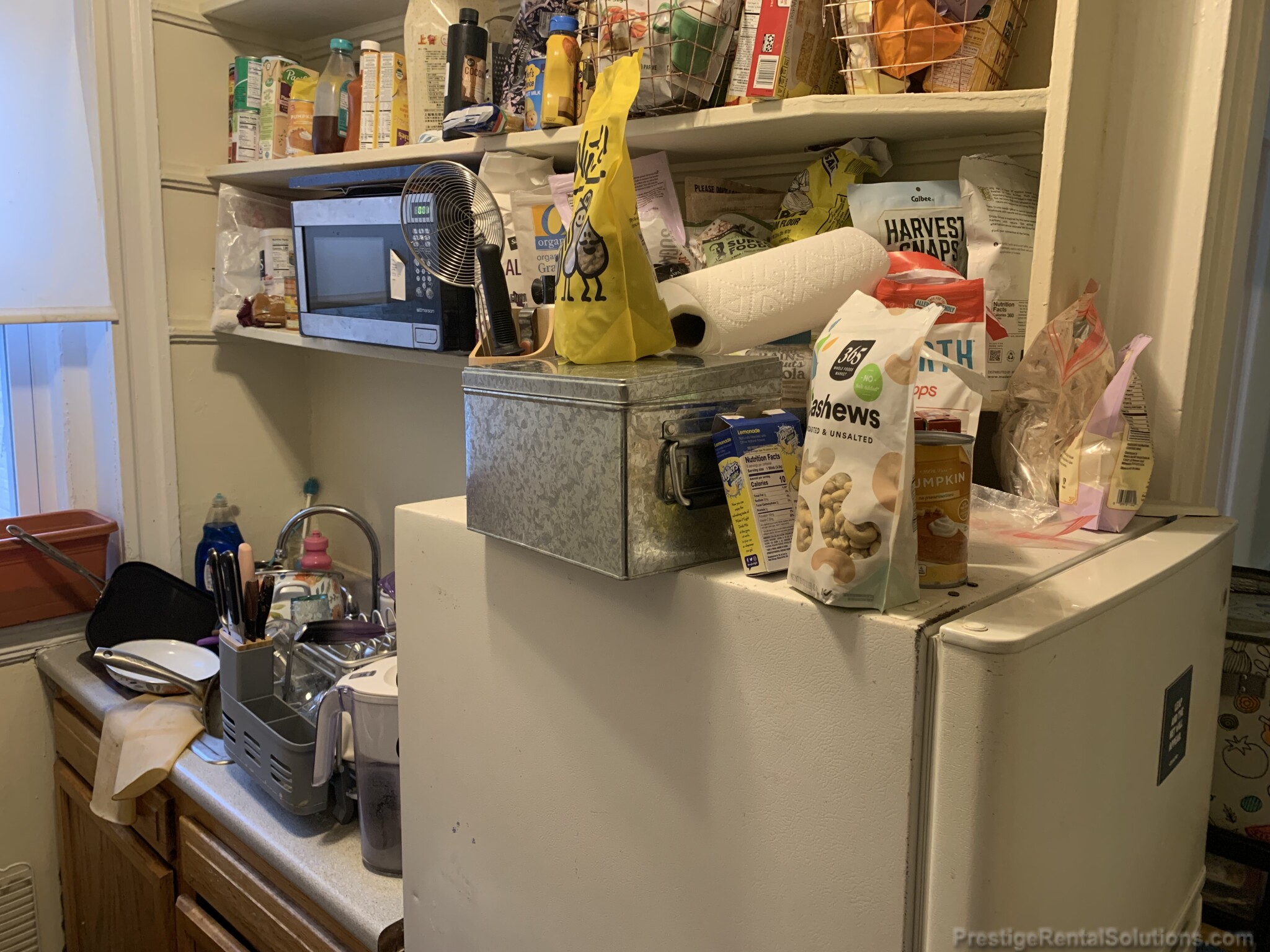 221 Kelton St, Brighton