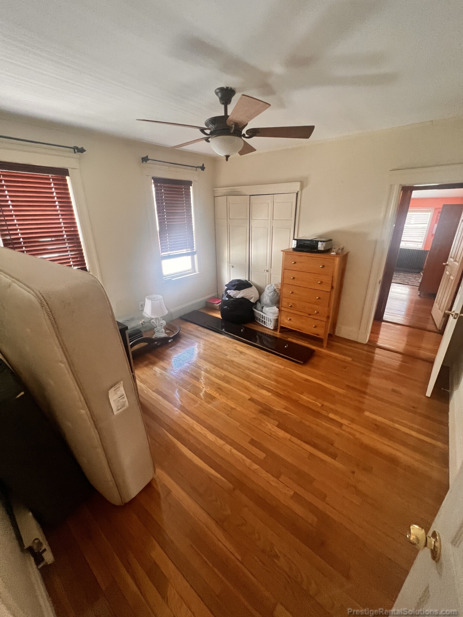 17 Morrow Rd, Brighton