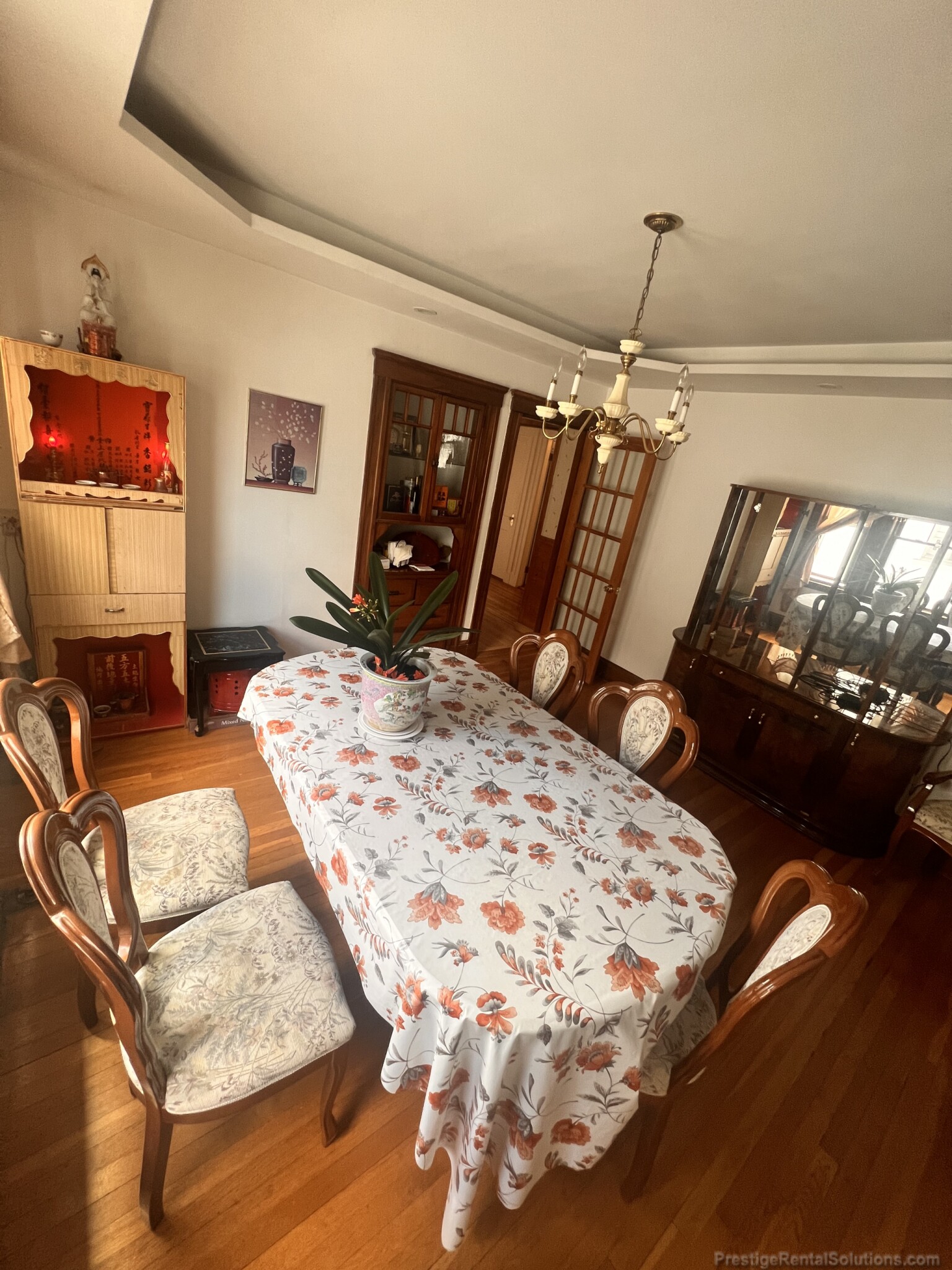 17 Morrow Rd, Brighton