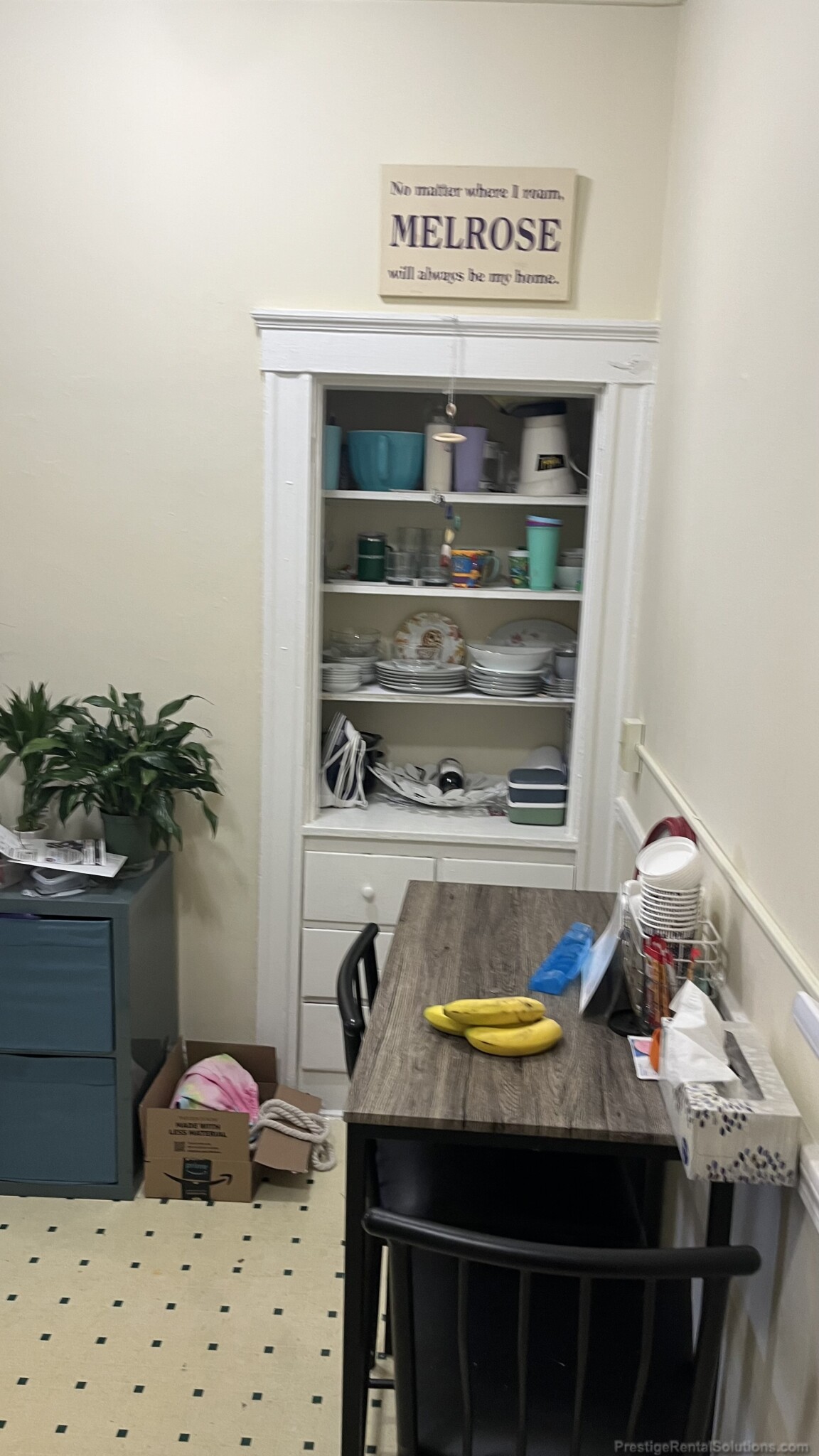 223 Essex St, Cedar Park