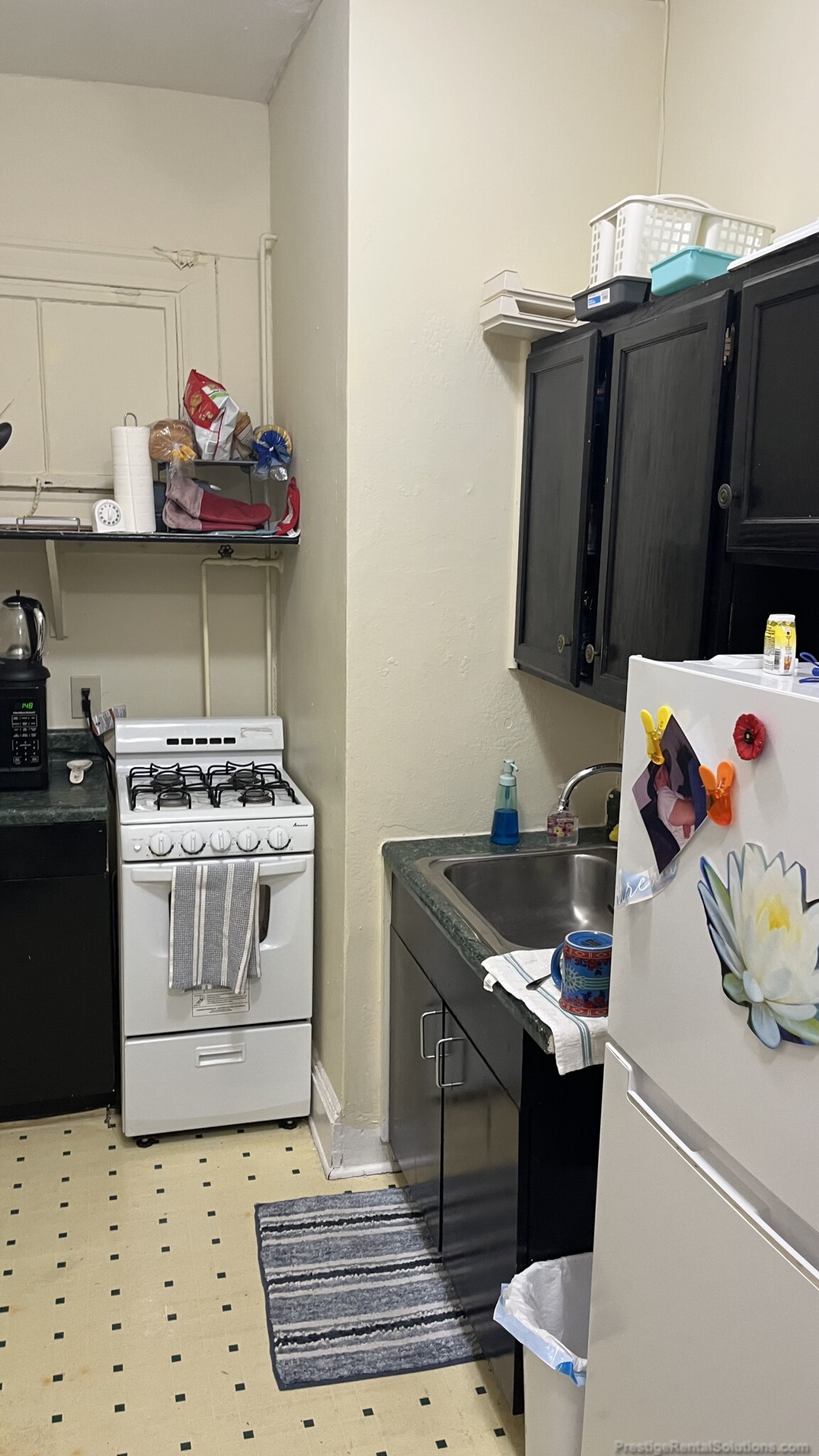 223 Essex St, Cedar Park