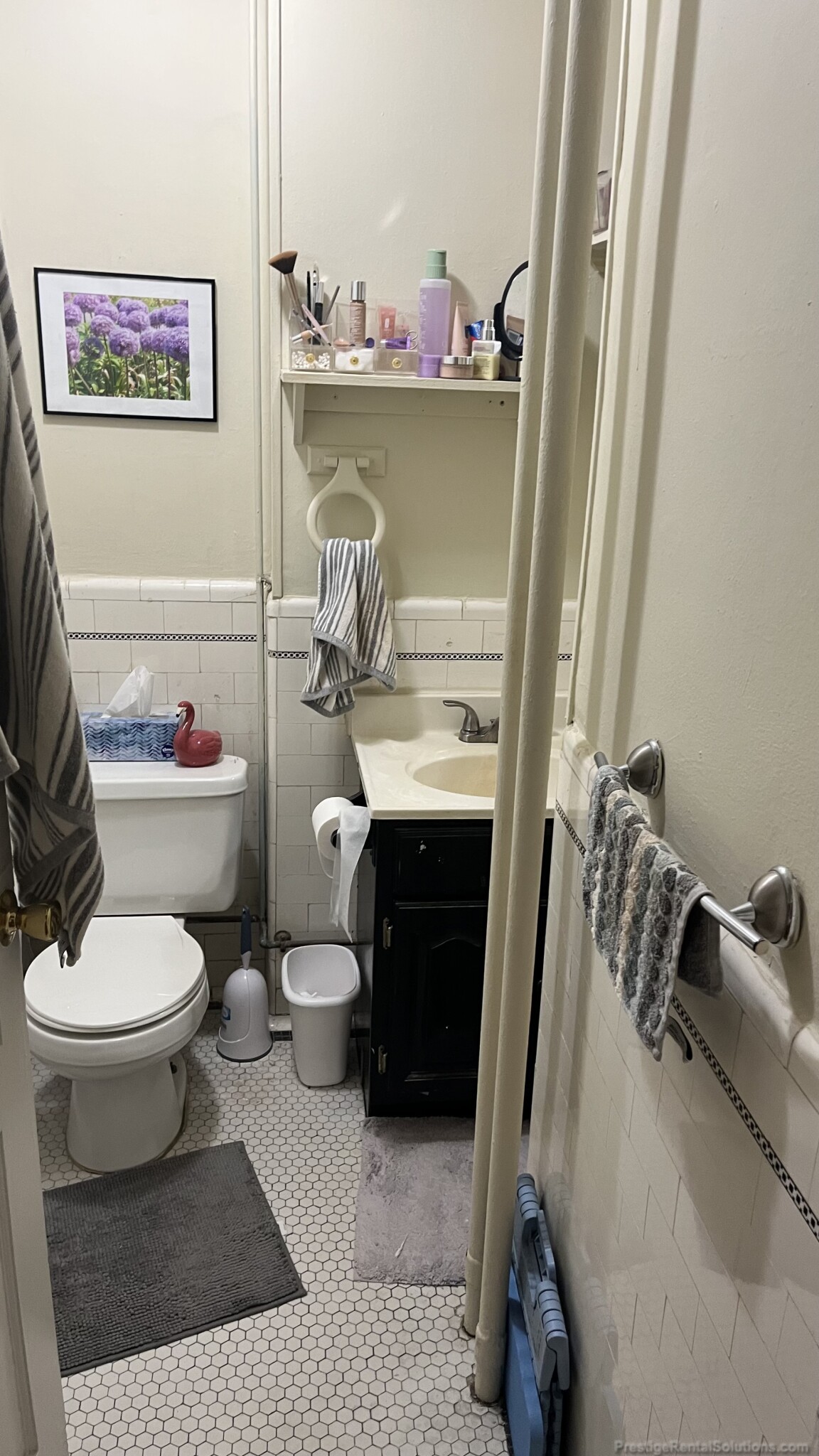 223 Essex St, Cedar Park