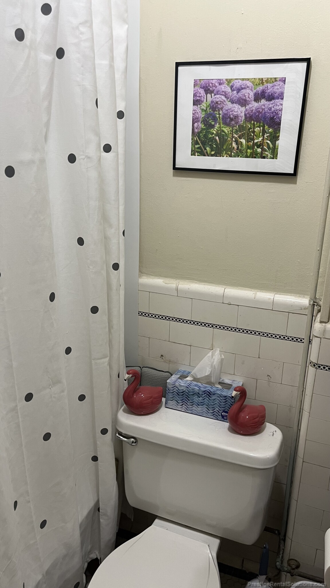 223 Essex St, Cedar Park