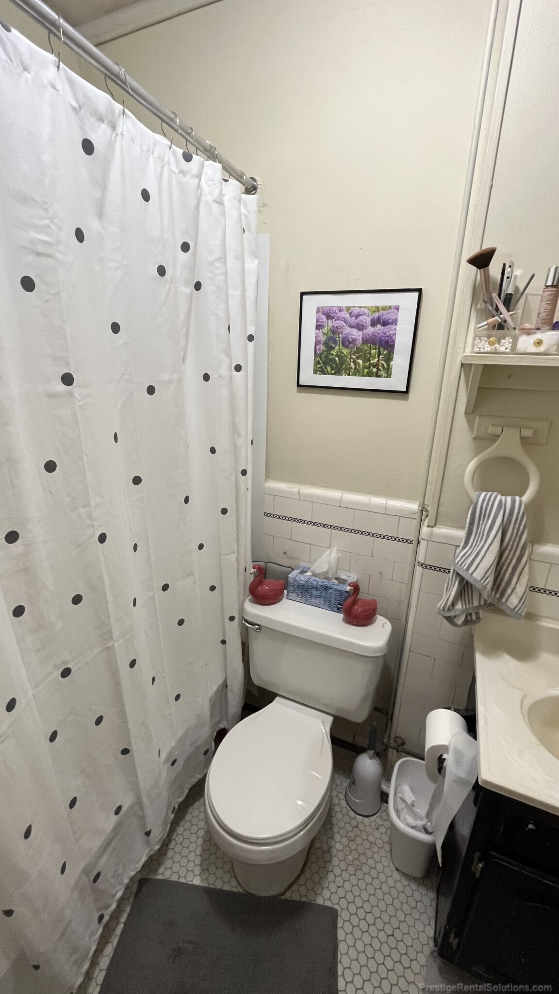 223 Essex St, Cedar Park