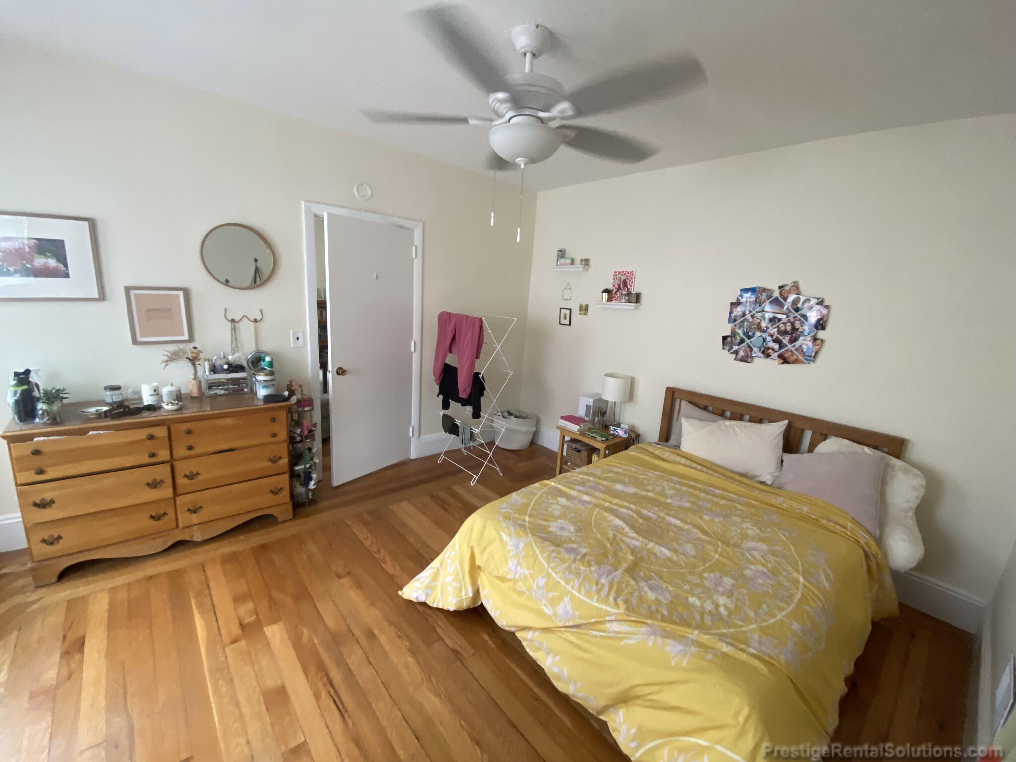 12 Donnybrook Rd, Brighton