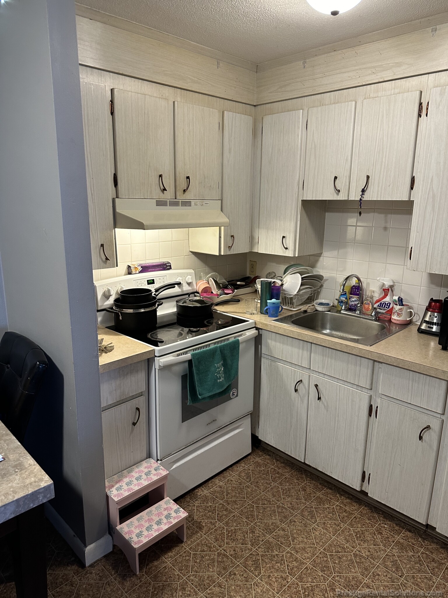 7 Lincoln St, Hyde Park