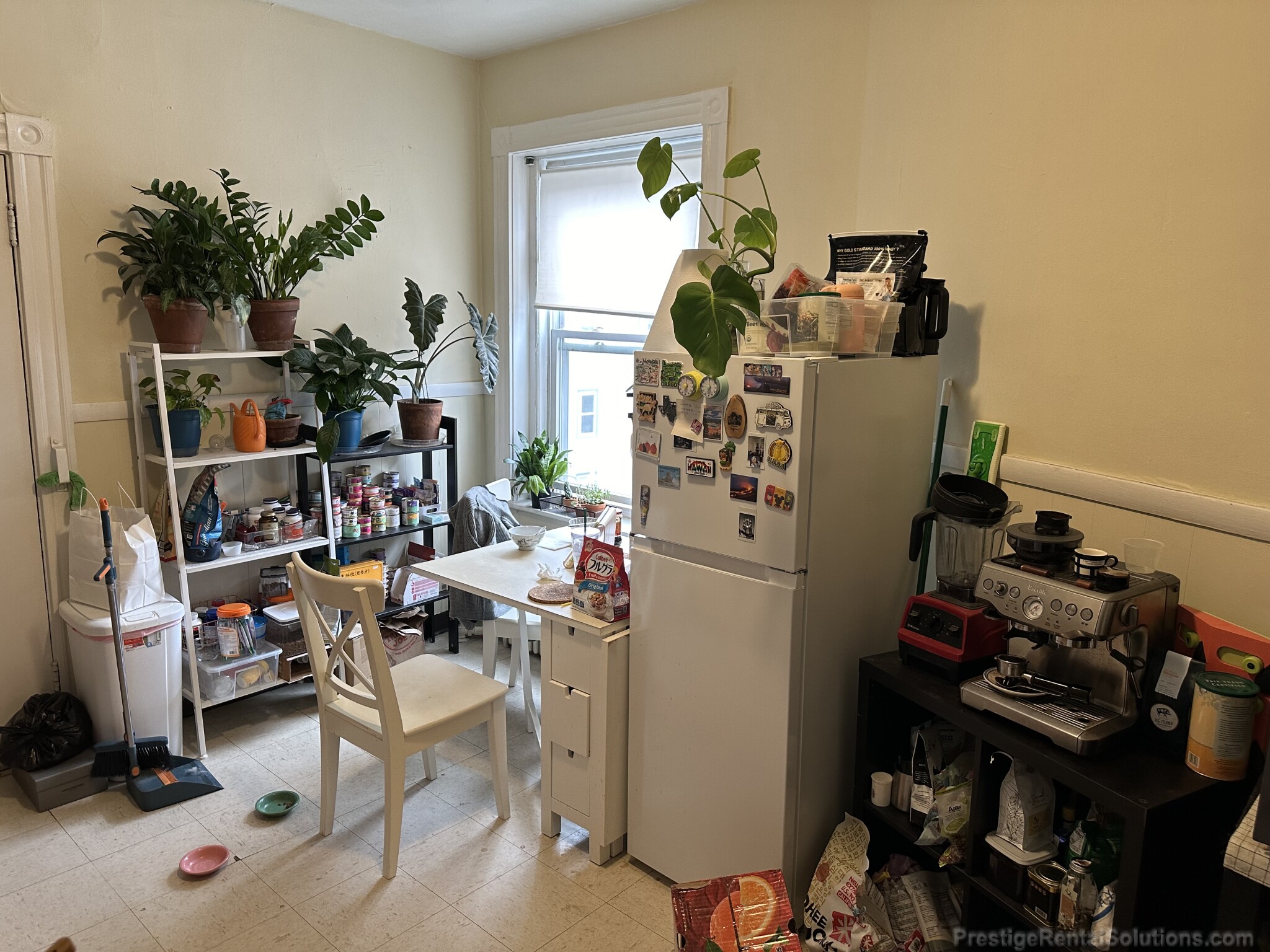 1128 Commonwealth Ave, Allston