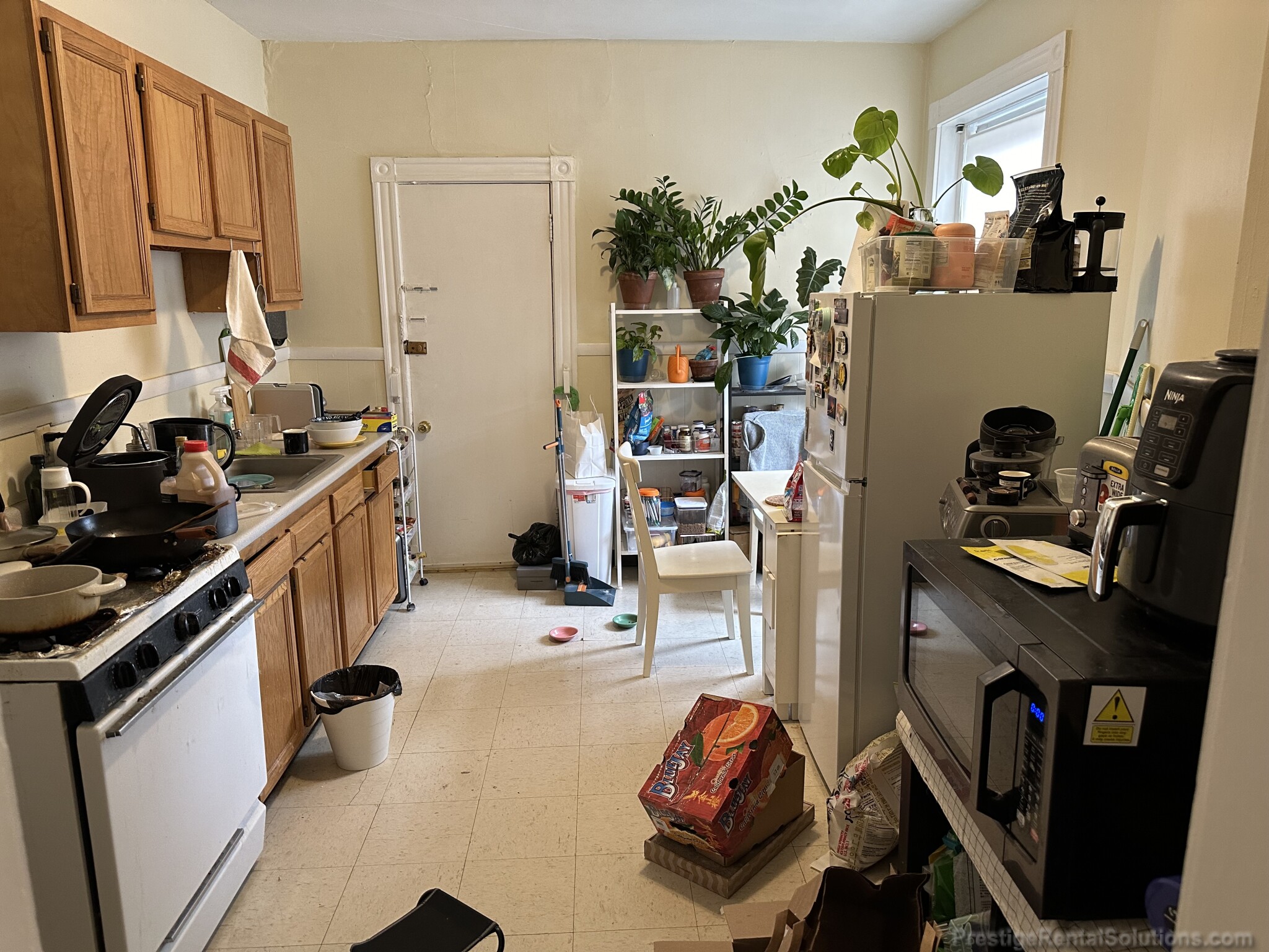 1128 Commonwealth Ave, Allston