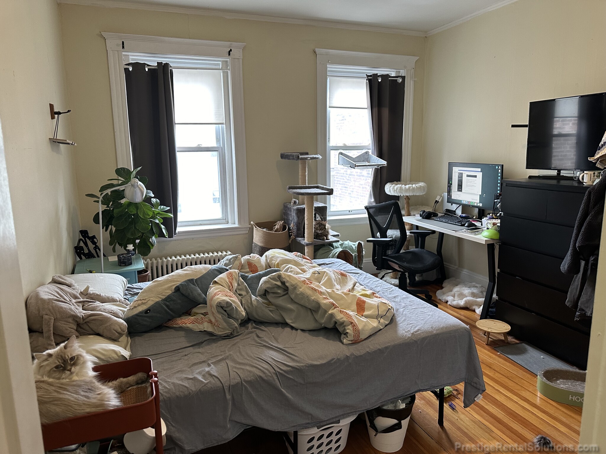 1128 Commonwealth Ave, Allston